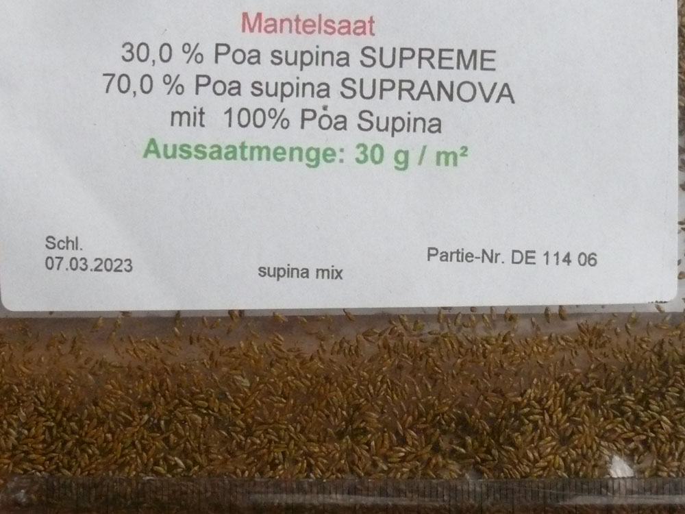Poa Supina Hausgarten