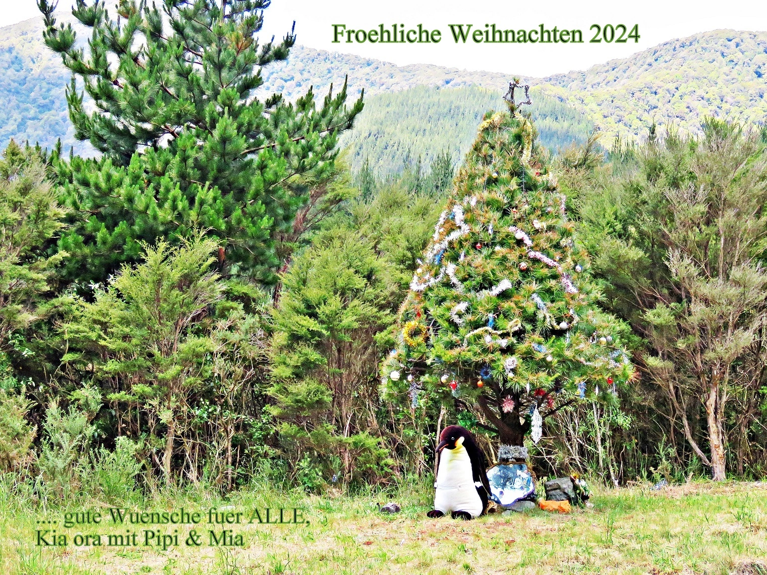 2024 H&G.webp