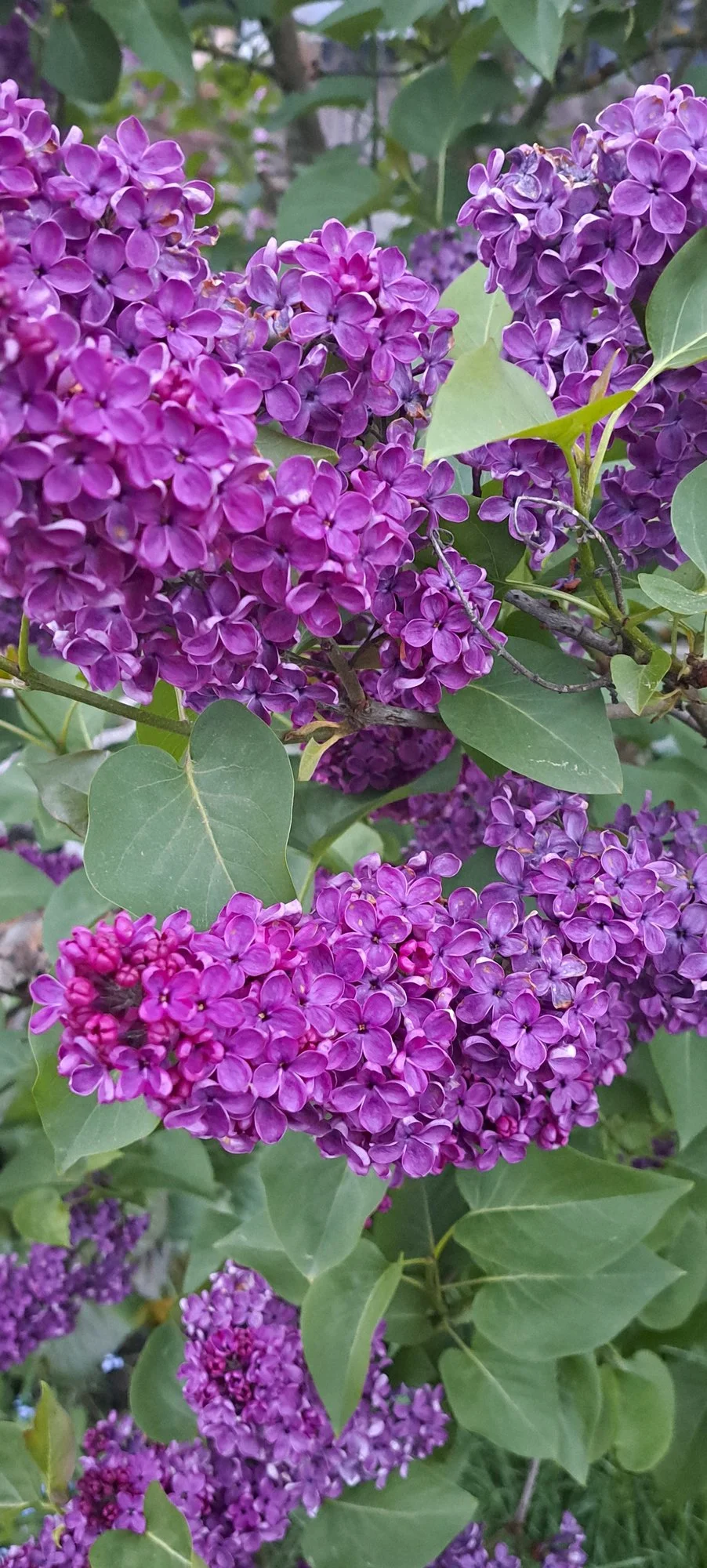 20240429_204323.webp