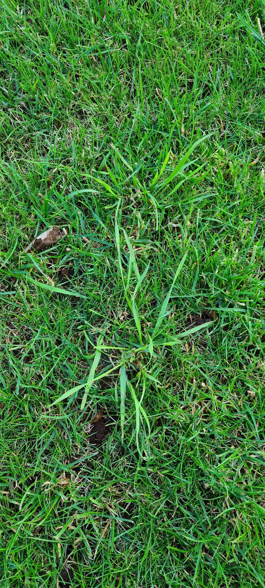 20240617_201627.webp