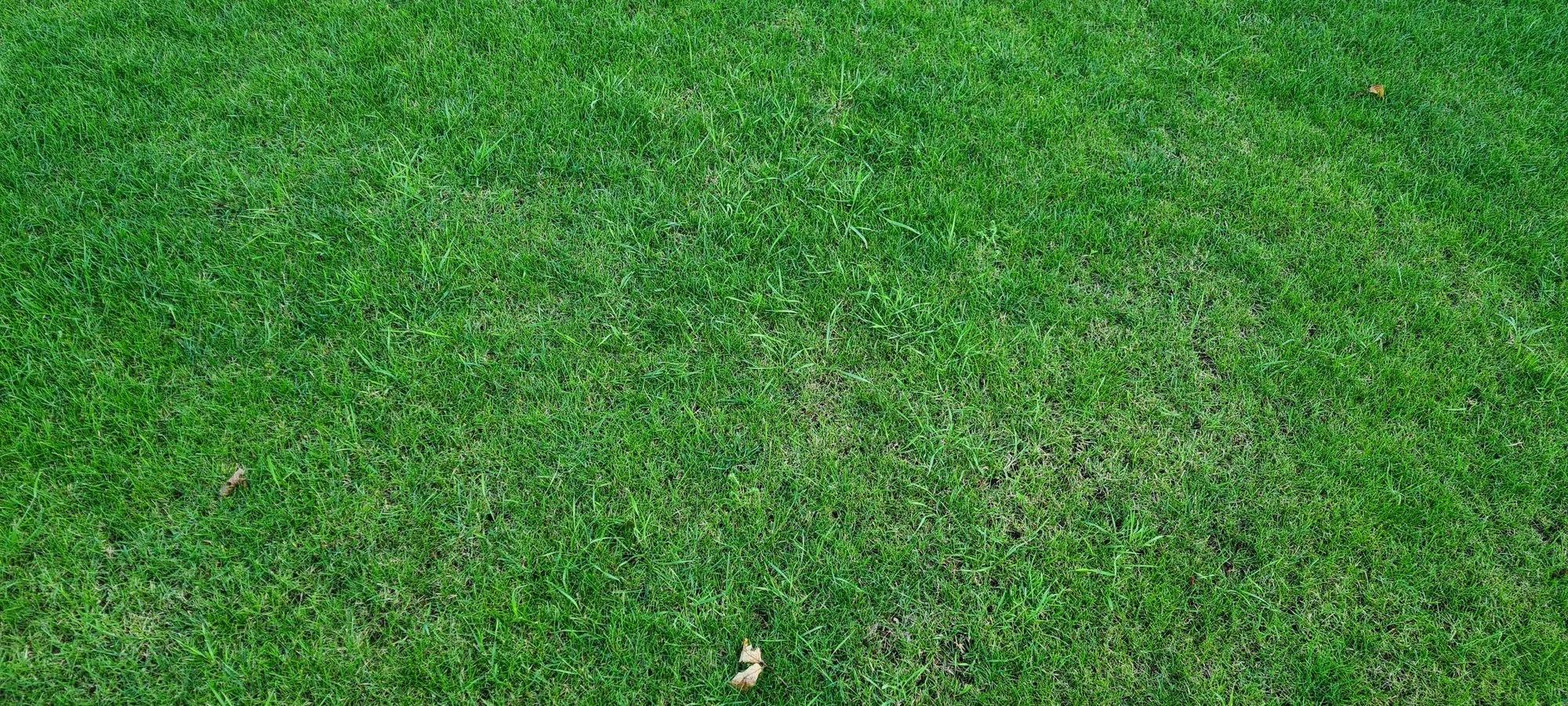 20240617_201700.webp