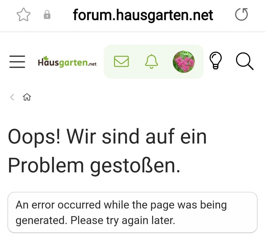 20241128_192037.webp