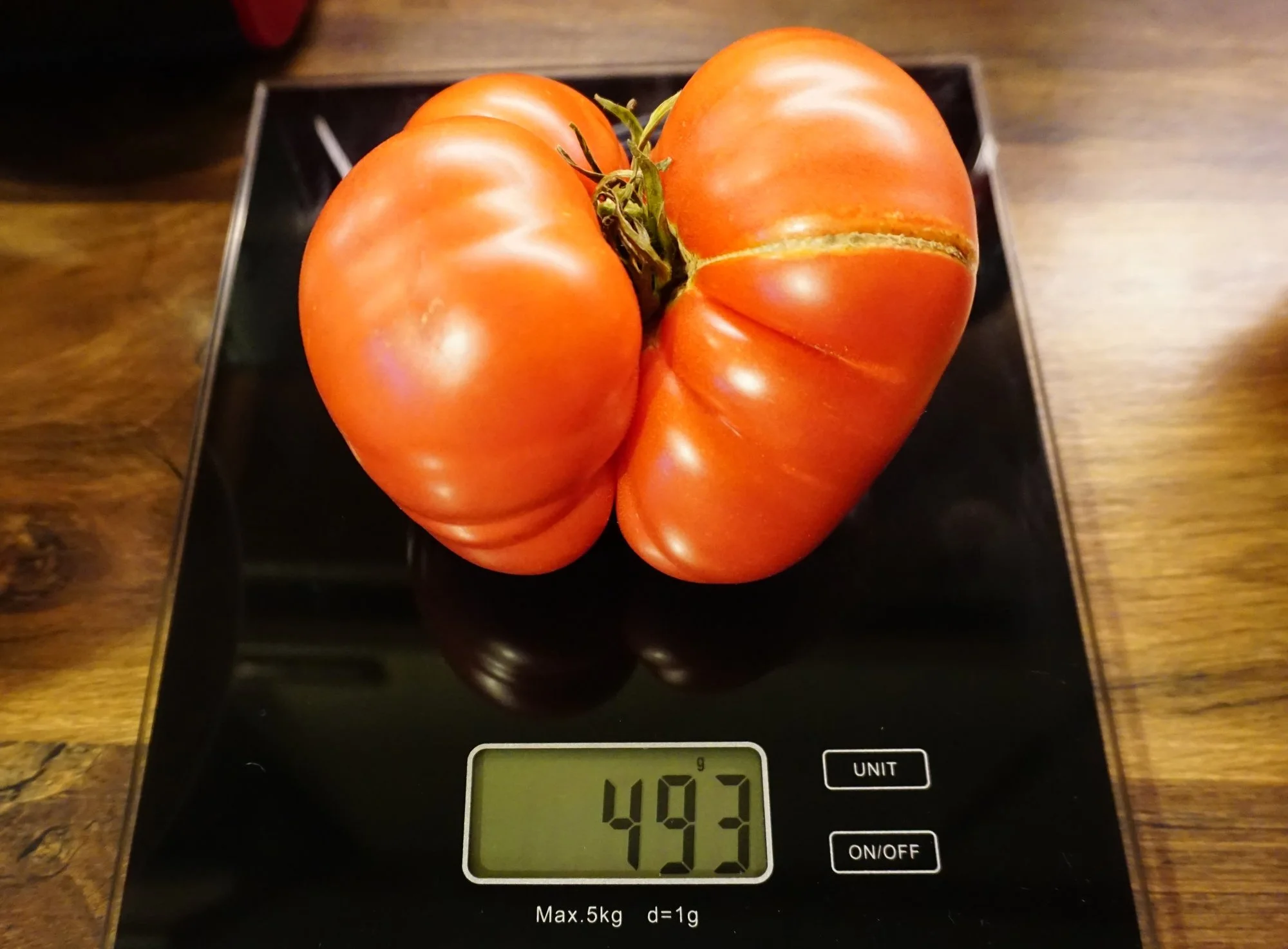 2024tmt02.webp