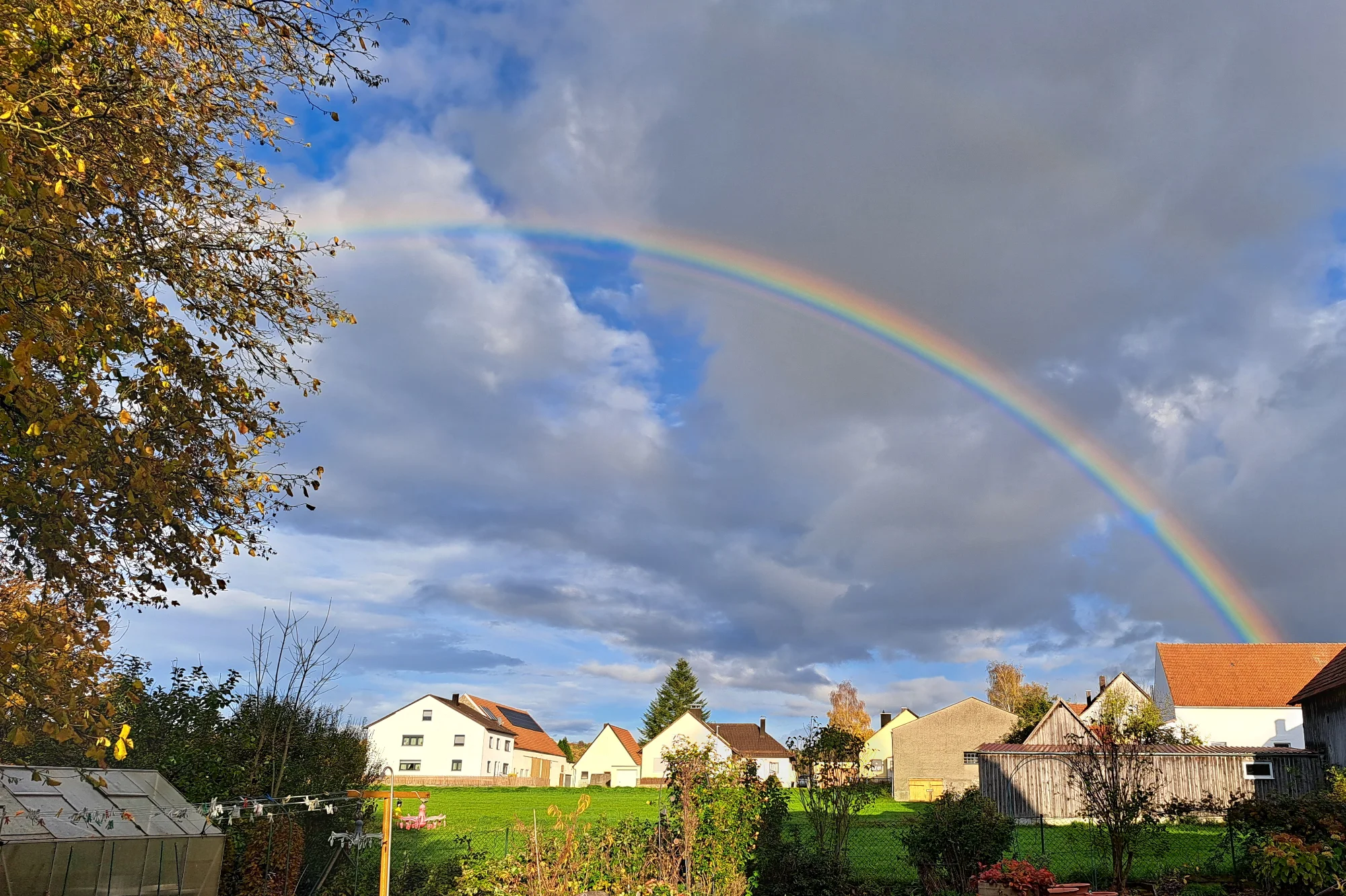 2025-10-25 20251025_164338.webp