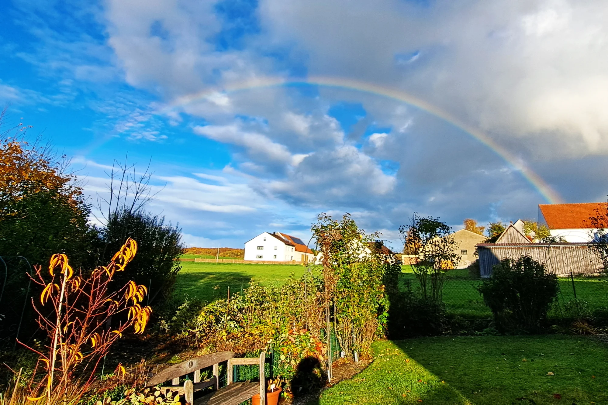 2025-10-25 20251025_164544.webp