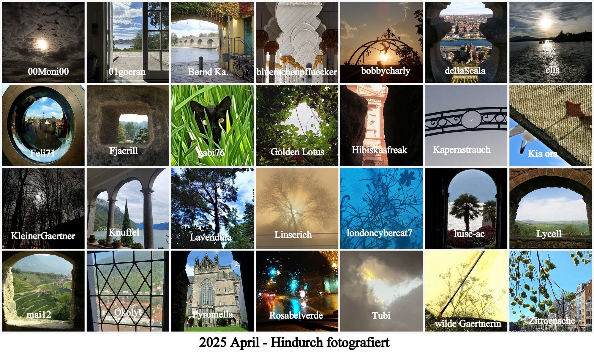 2025 April Hindurch fotografiert - Copy.jpg