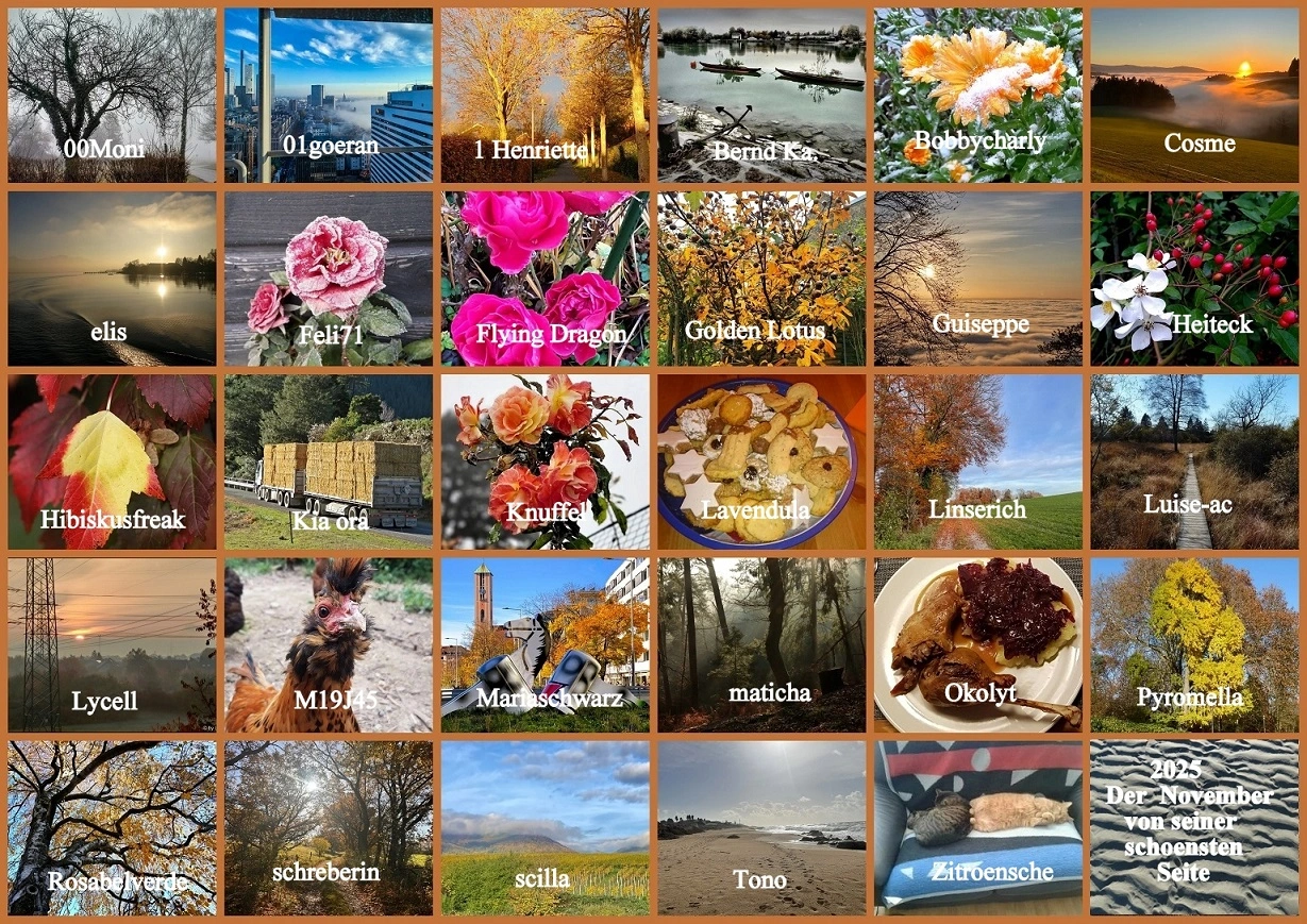 2025 November Der November von seiner schönen Seite - Copy.webp