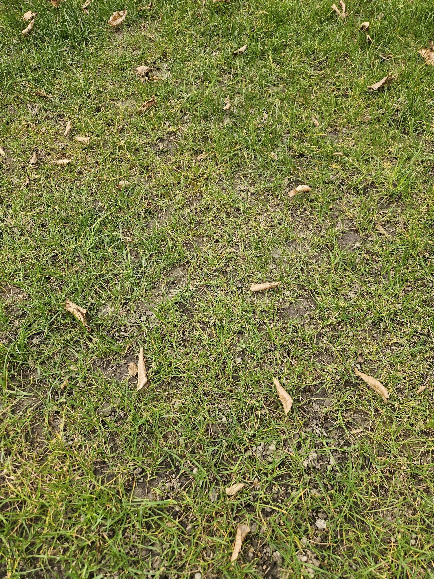 20250323_163626.jpg