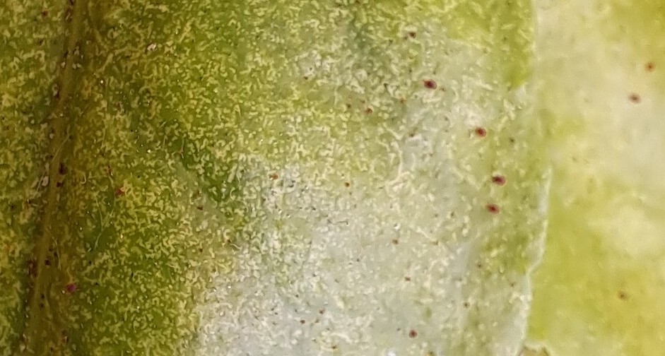 20250601_122108.jpg