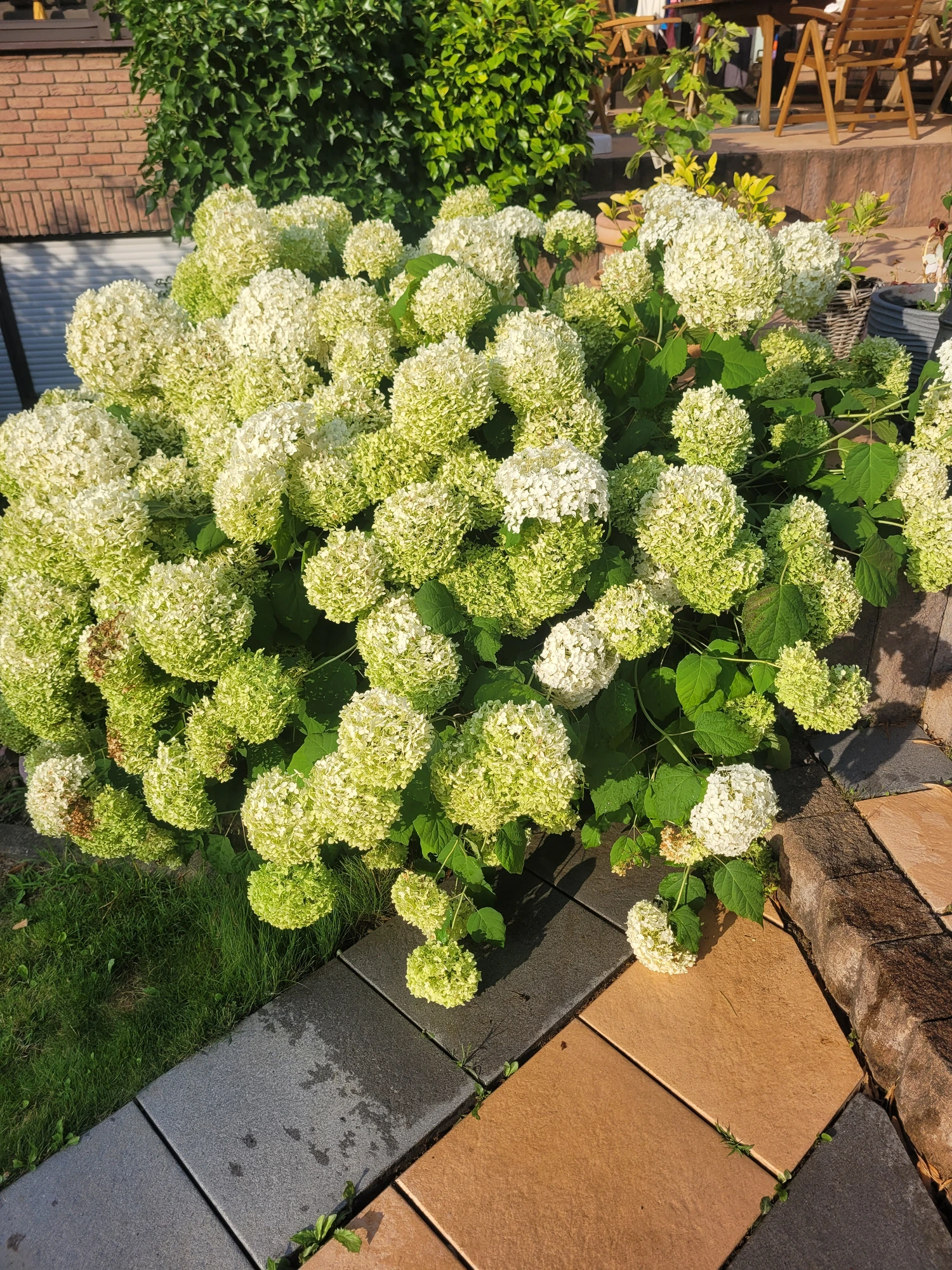20250718_190659.webp