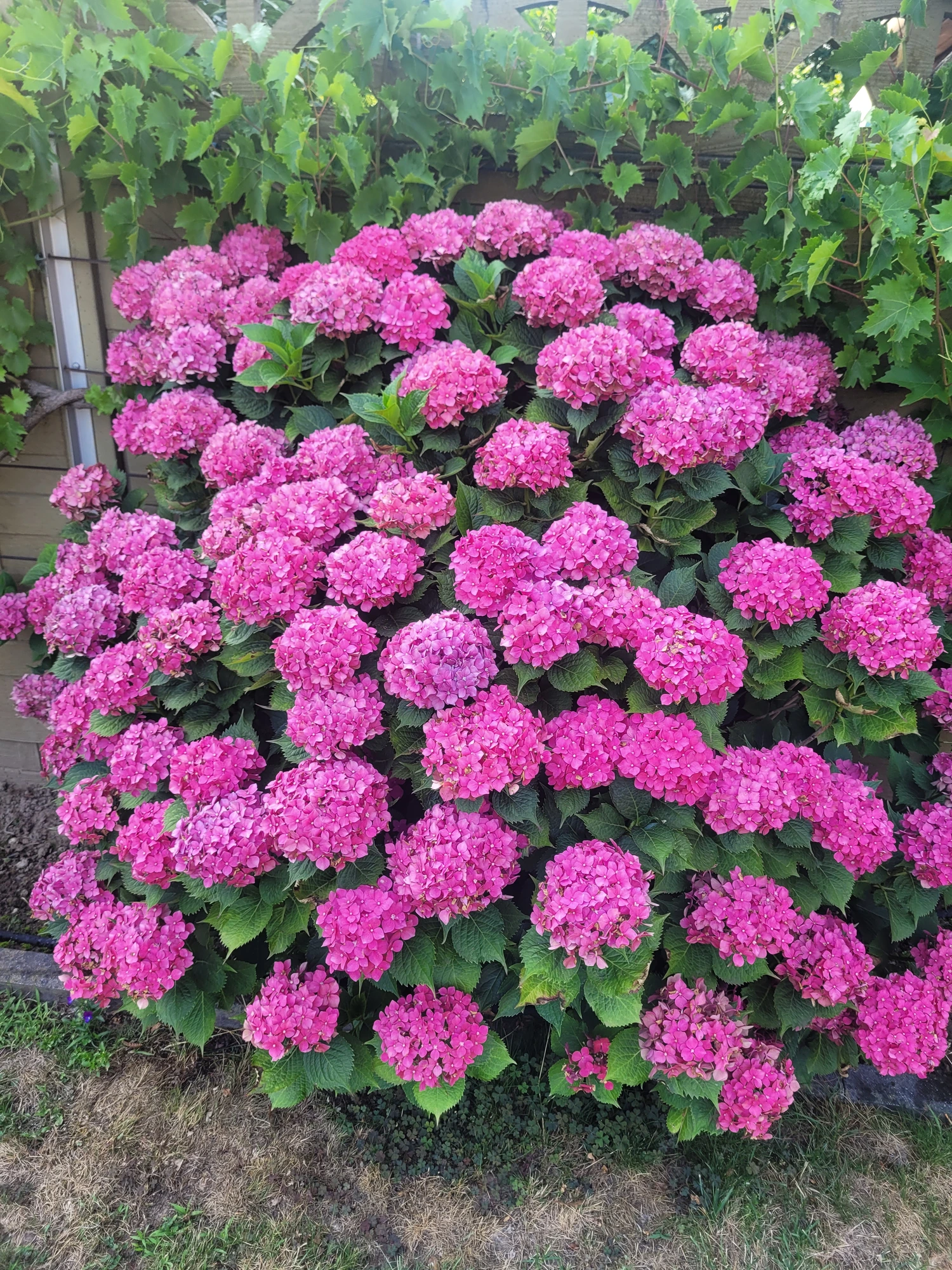 20250718_190711.webp