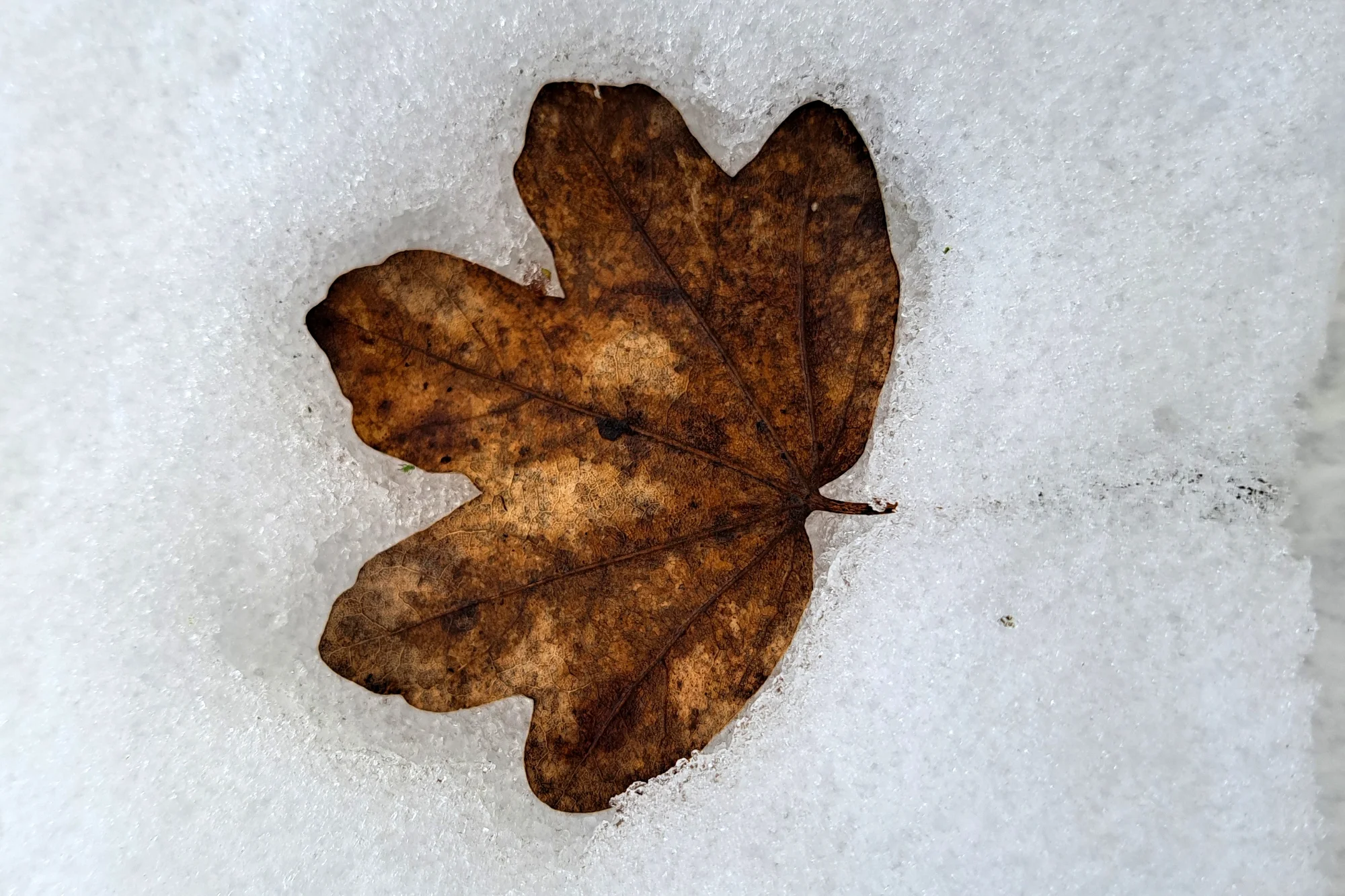 2026-02-03 20260203_155347.webp