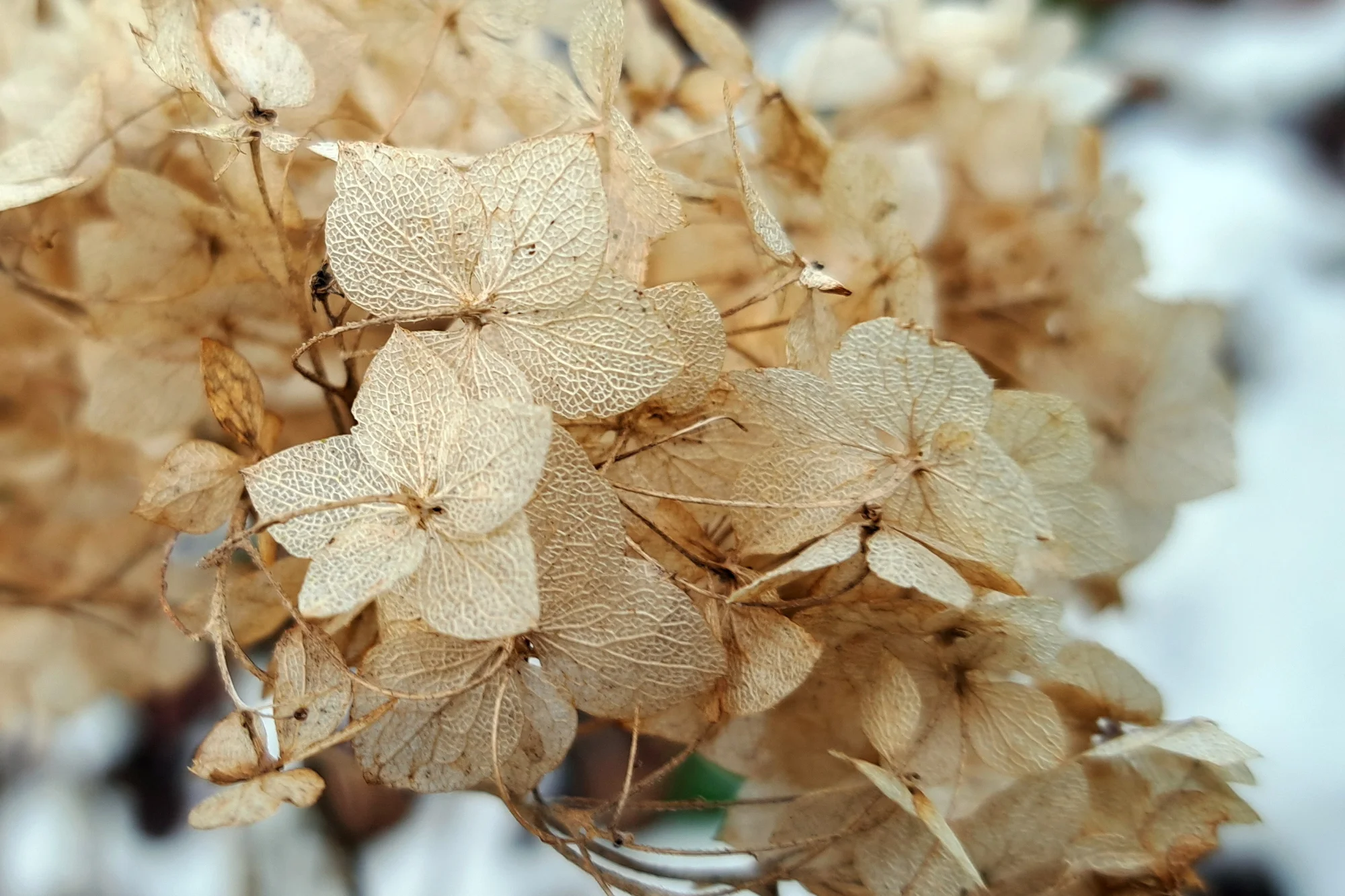 2026-02-03x 20260203_154805.webp