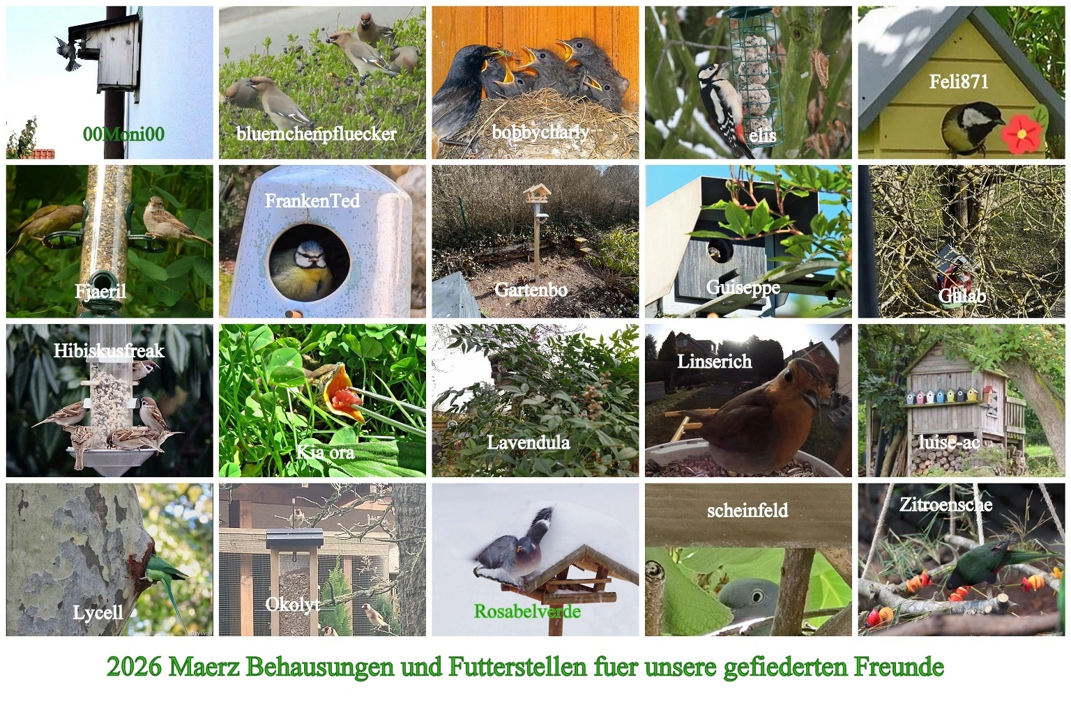 2026 Maerz Behausungen und Futterstellen für unsere gefiederten Freunde - Copy.webp