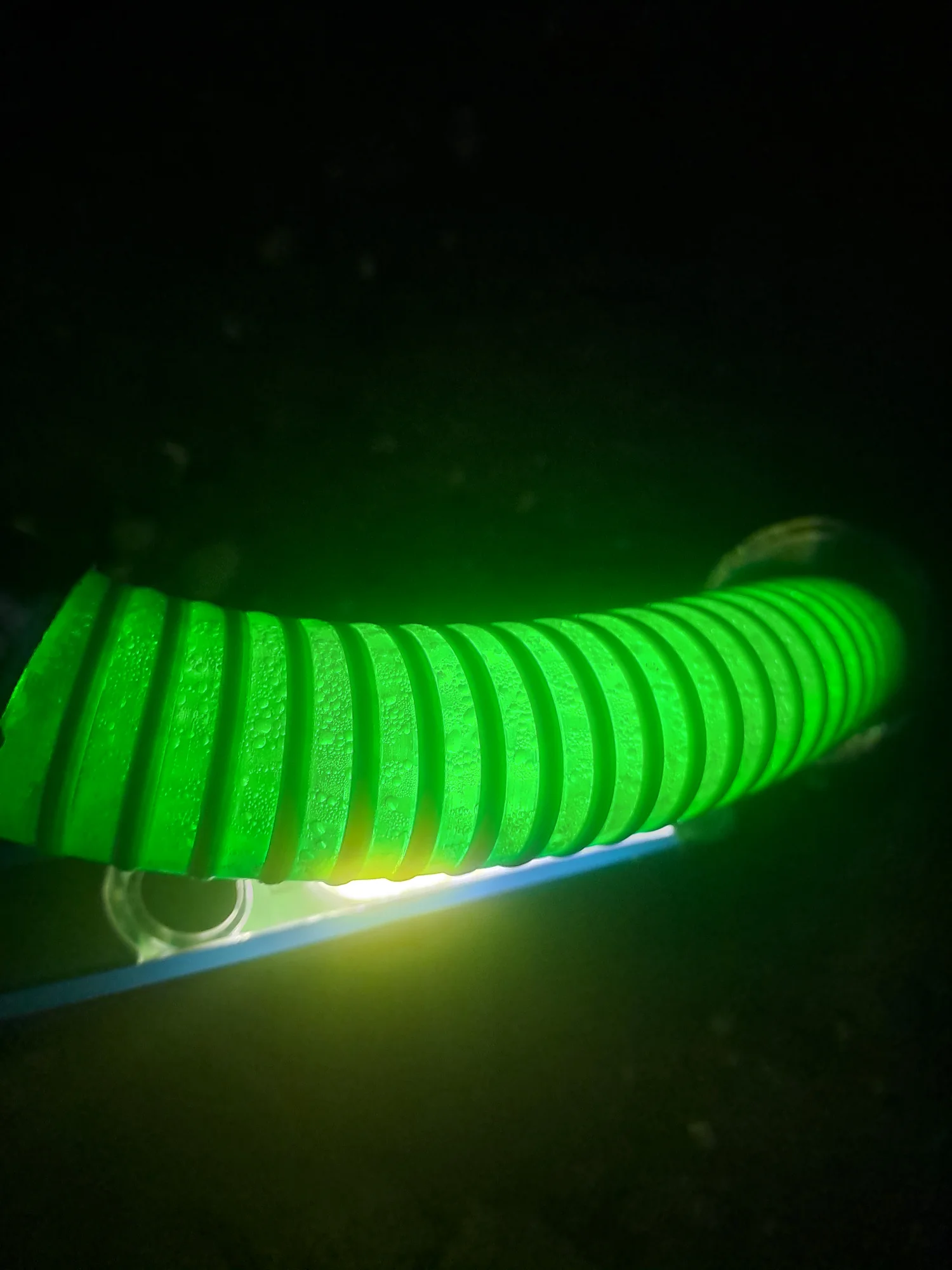 20261015_185505.webp