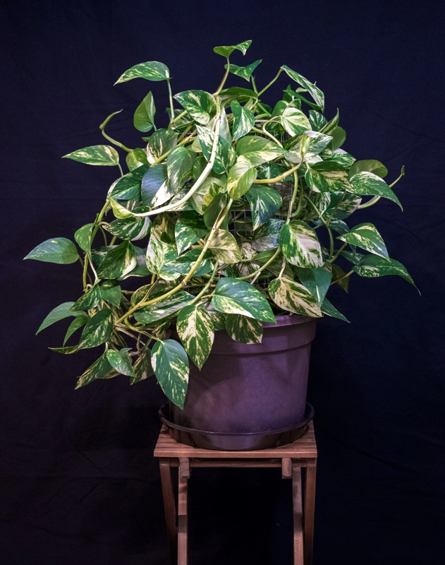 211103_kleiner_turm-jpg.696386