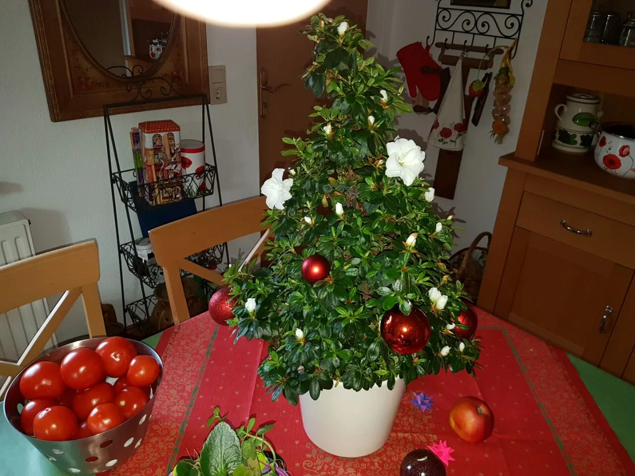 223032414_188072.webp