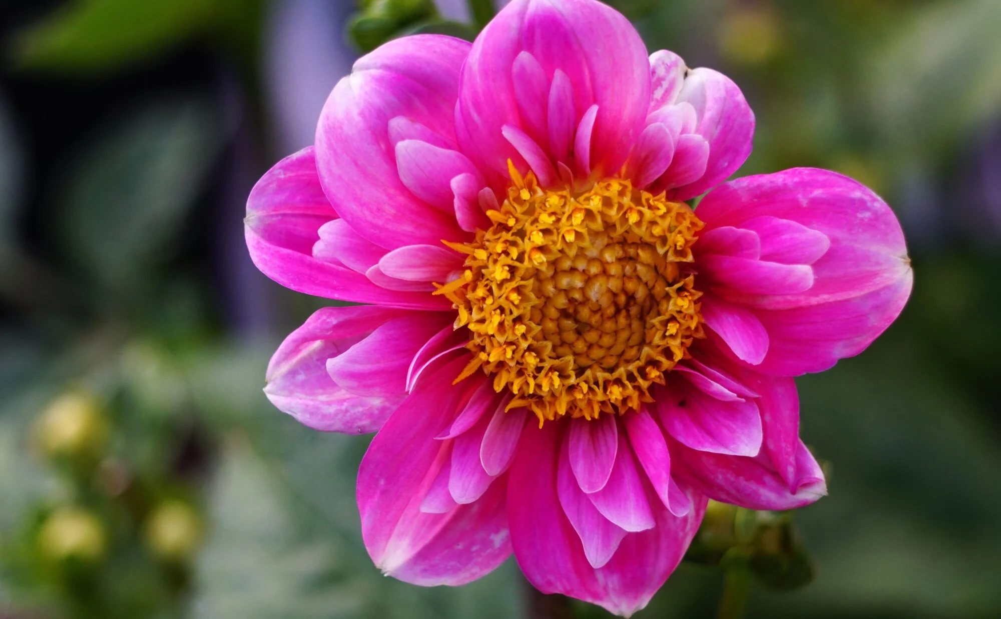 25blmn84.webp