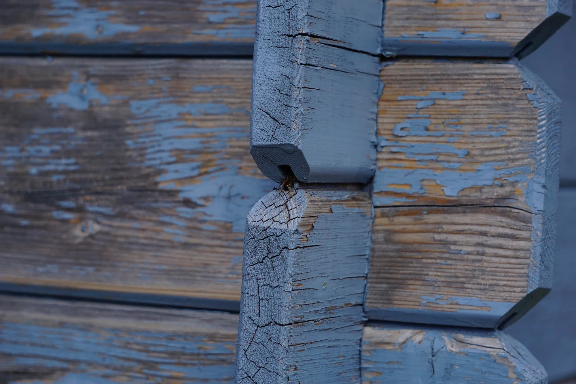 25blue04.webp
