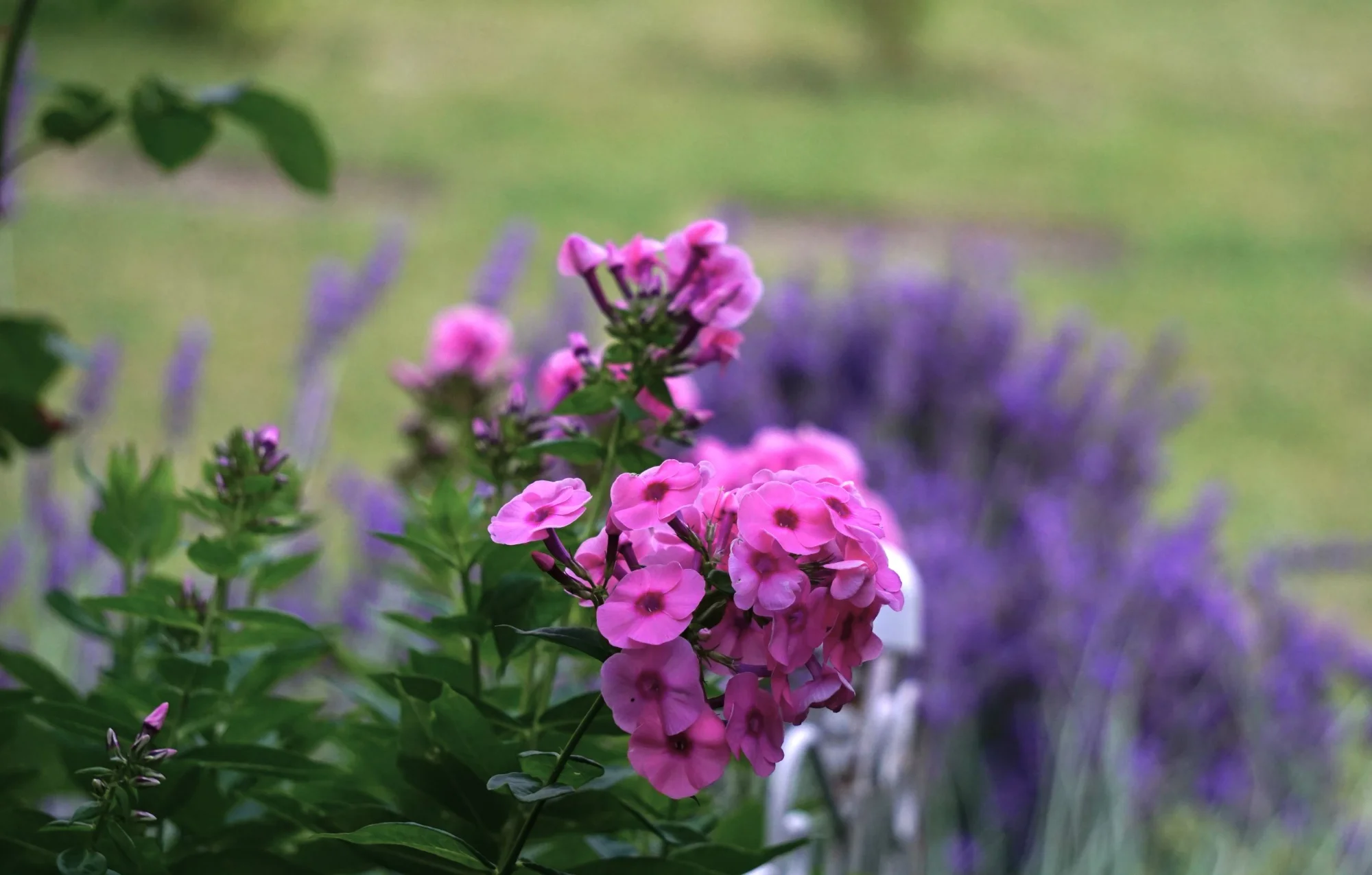 26blmn134.webp