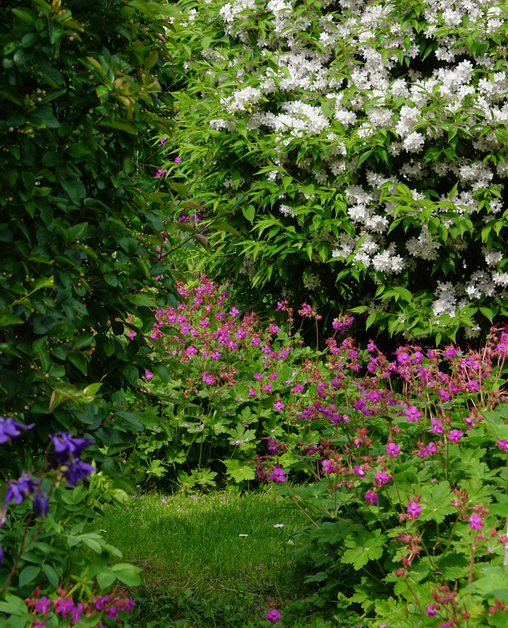 26blmn74.webp
