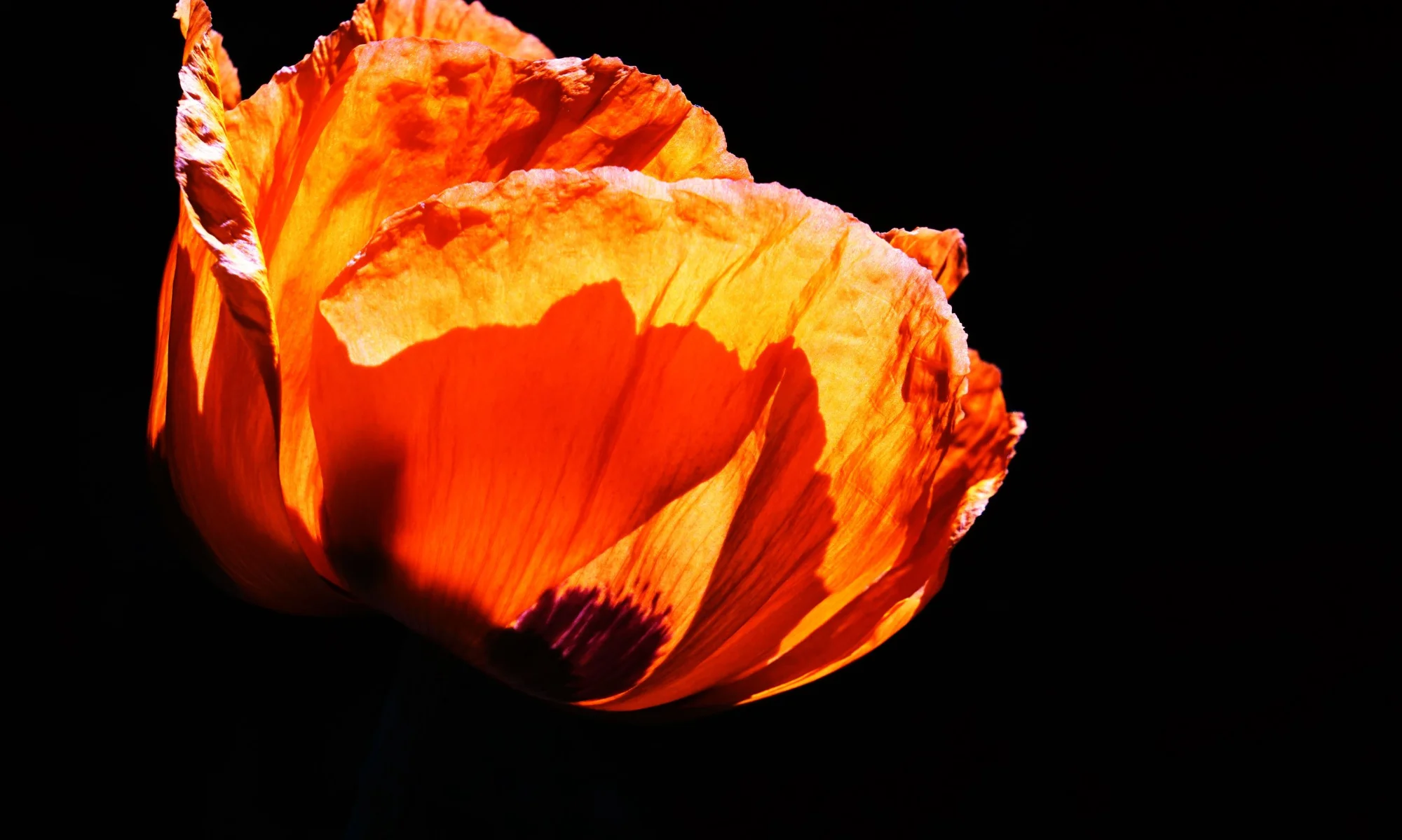 26blmn87.webp