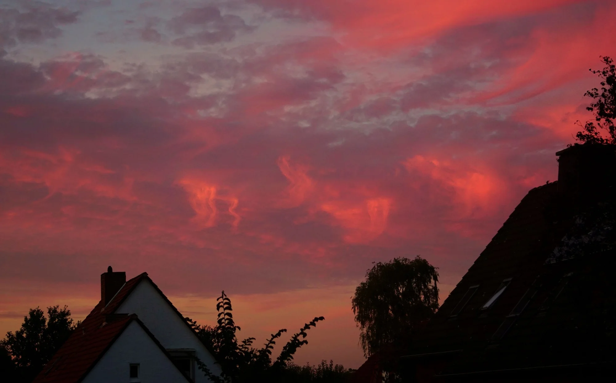 26hmml43.webp