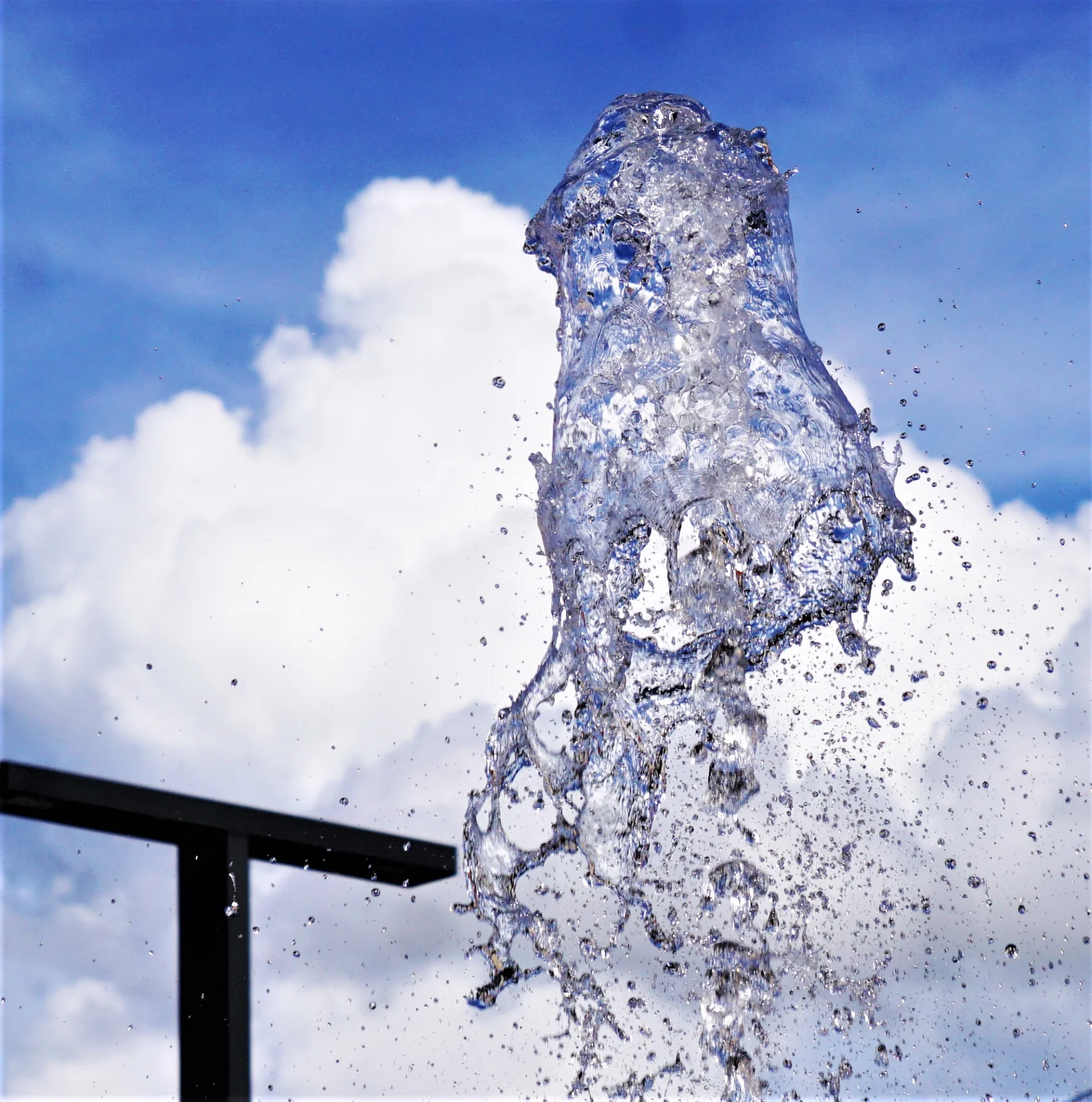 26wssr05 - Kopie.webp