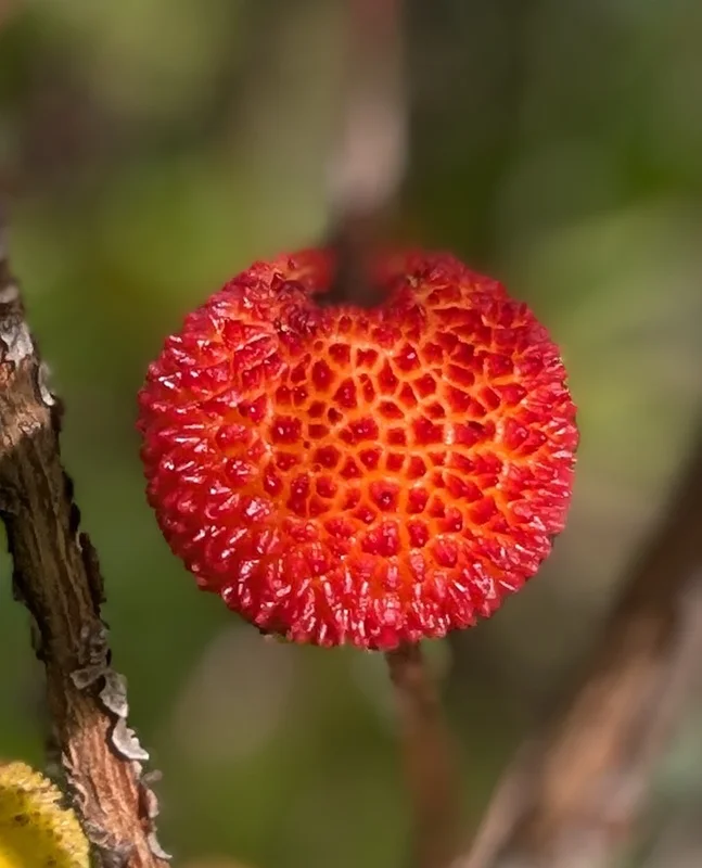 28a6040d-dec6-48ca-a291-9539c9239f32.webp