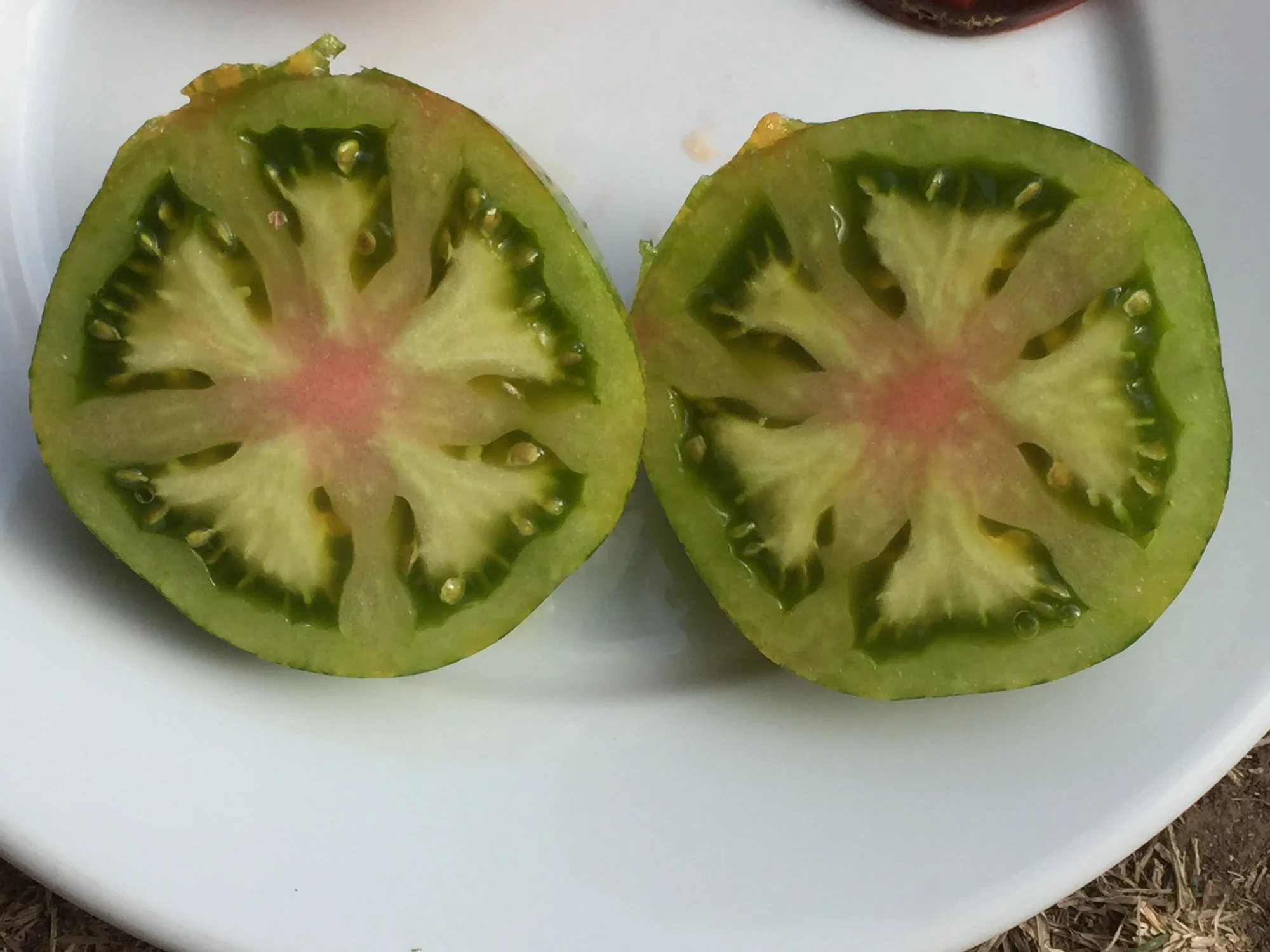 433.webp