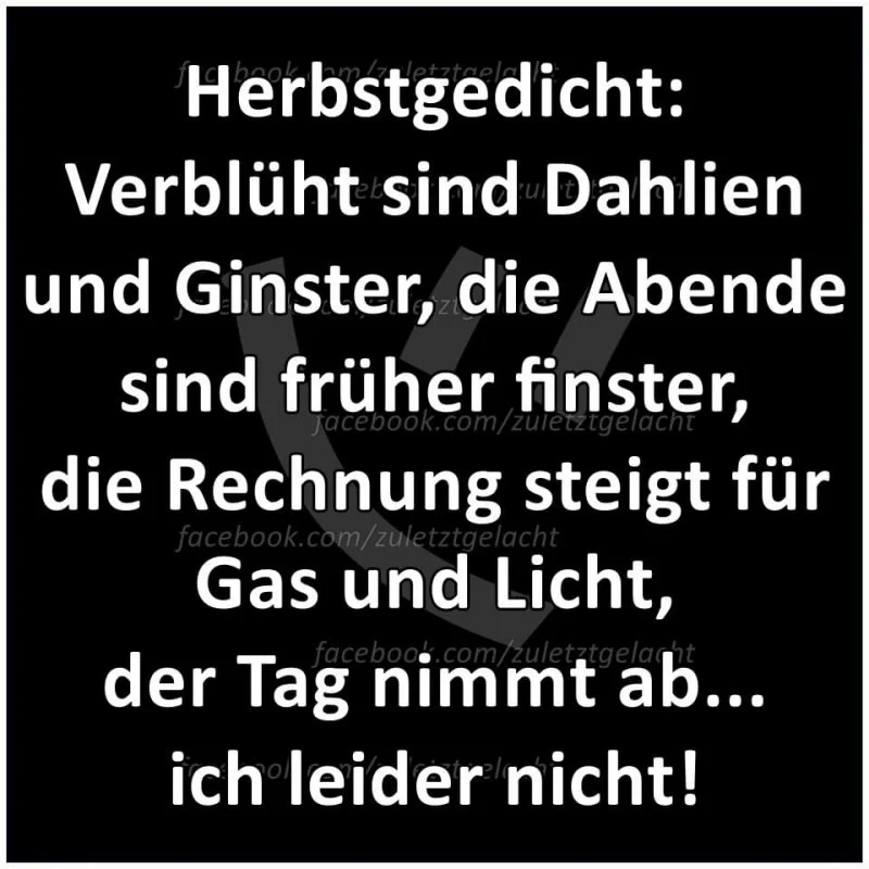 4530741-74a41727e40aedab6bd3a7ec2c47e11f.webp
