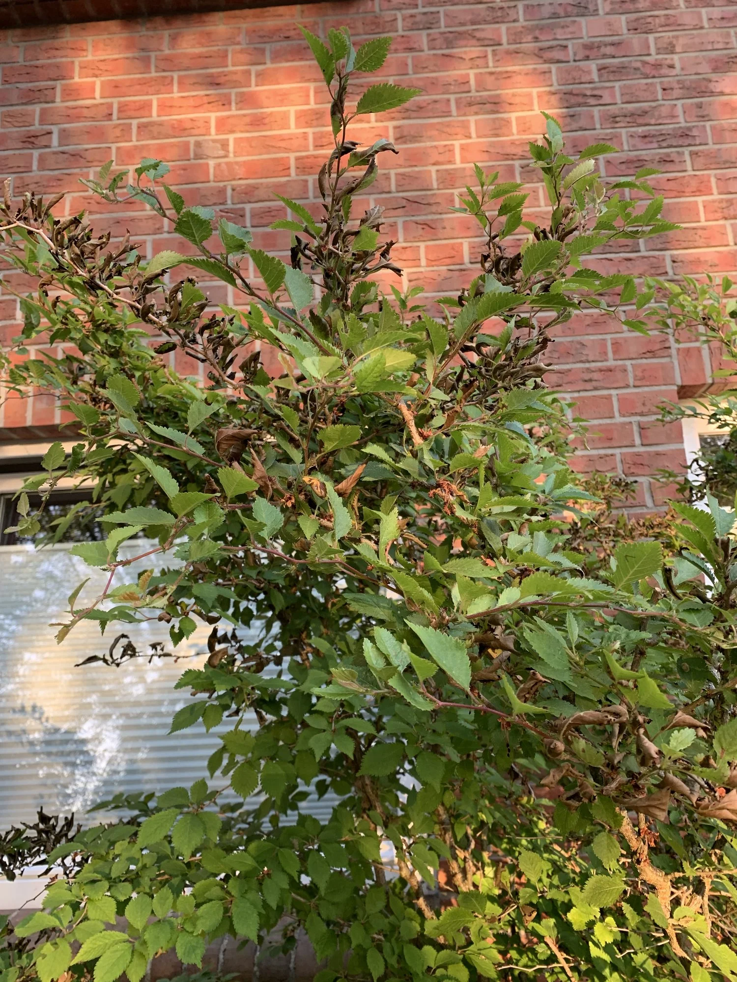 49037B20-FE88-4153-9E00-26BD03B81A50.webp 49037B20-FE88-4153-9E00-26BD03B81A50.webp