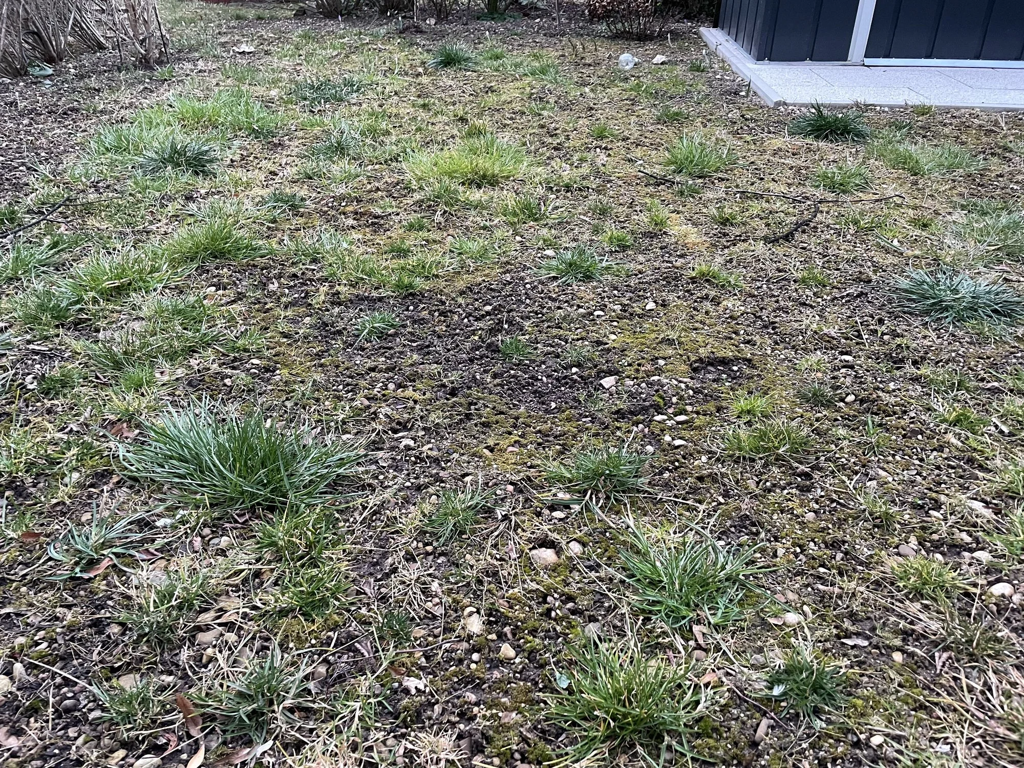 Rasen neu anlegen, wie gehe ich vor?
