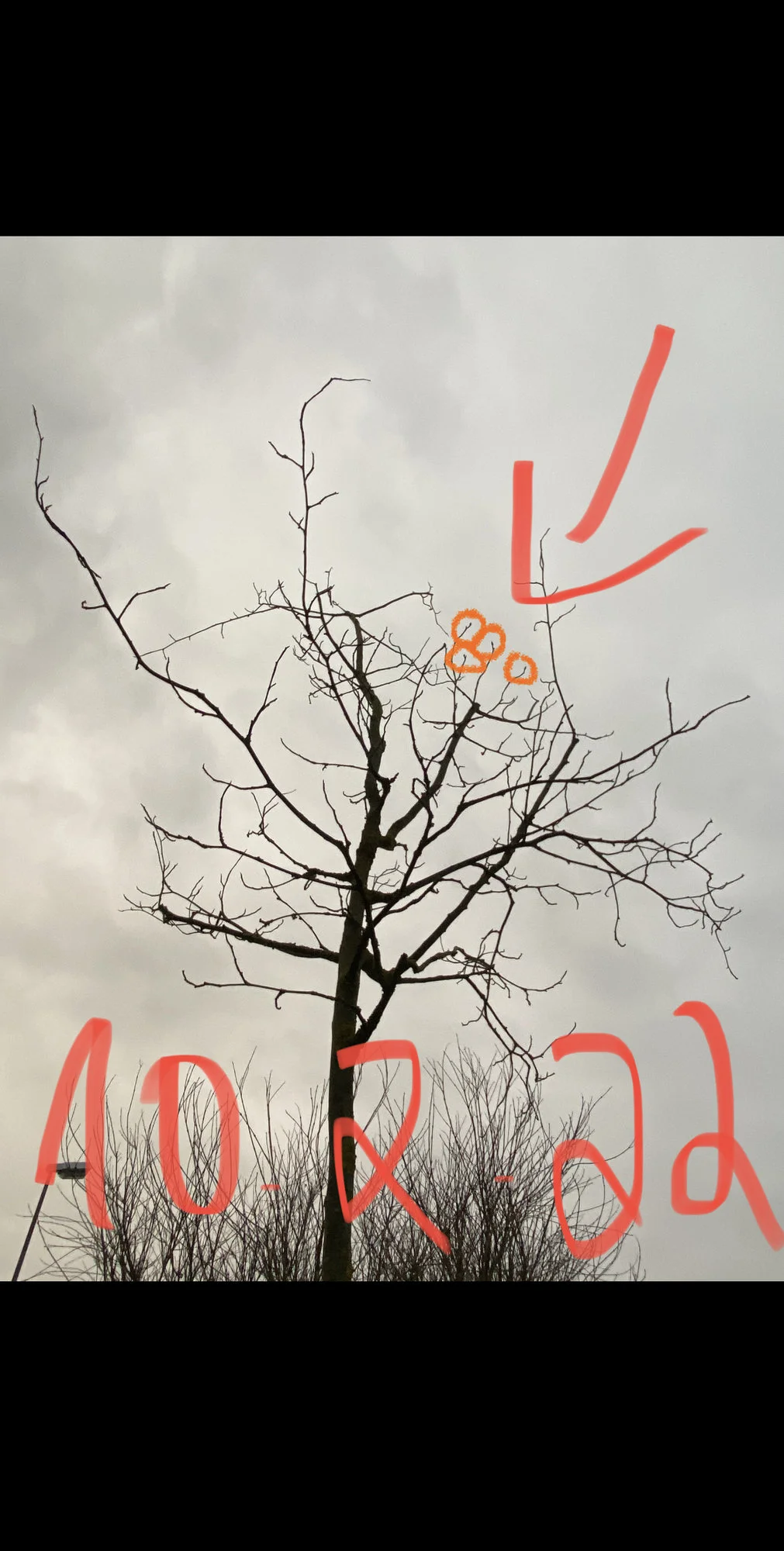 5C779C7E-AB15-44BD-968F-CE0981087D86.webp