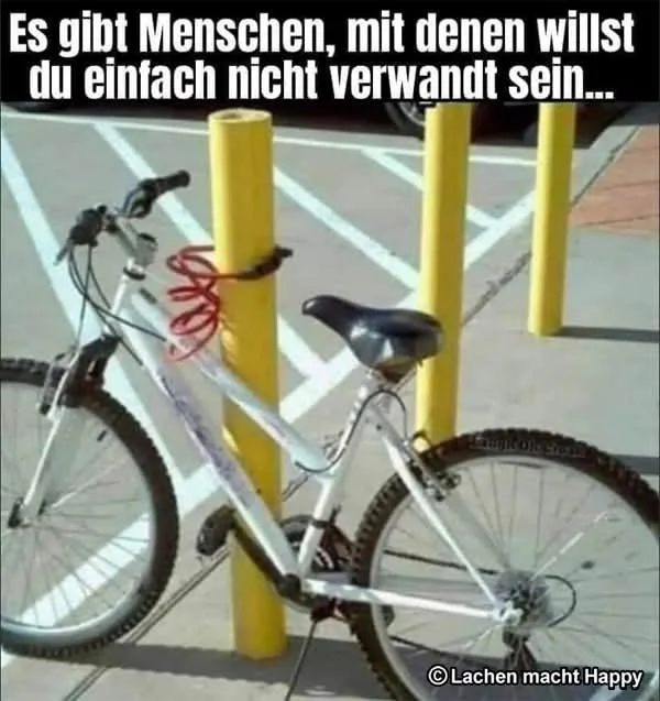 6394143-4493e28a2f0401b1dcc8a5057b9922be.webp