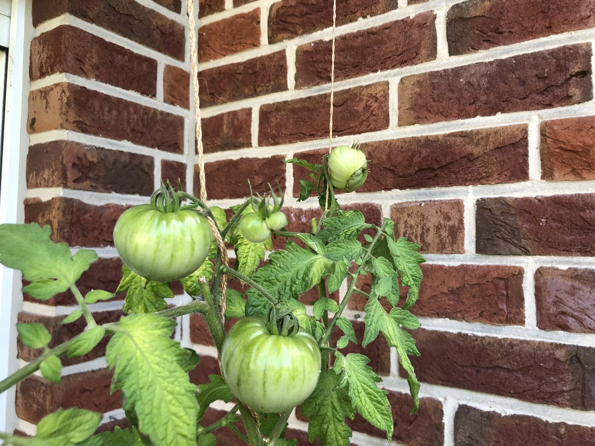 6C2D0010-0C23-40A2-8201-E283D8695103.webp