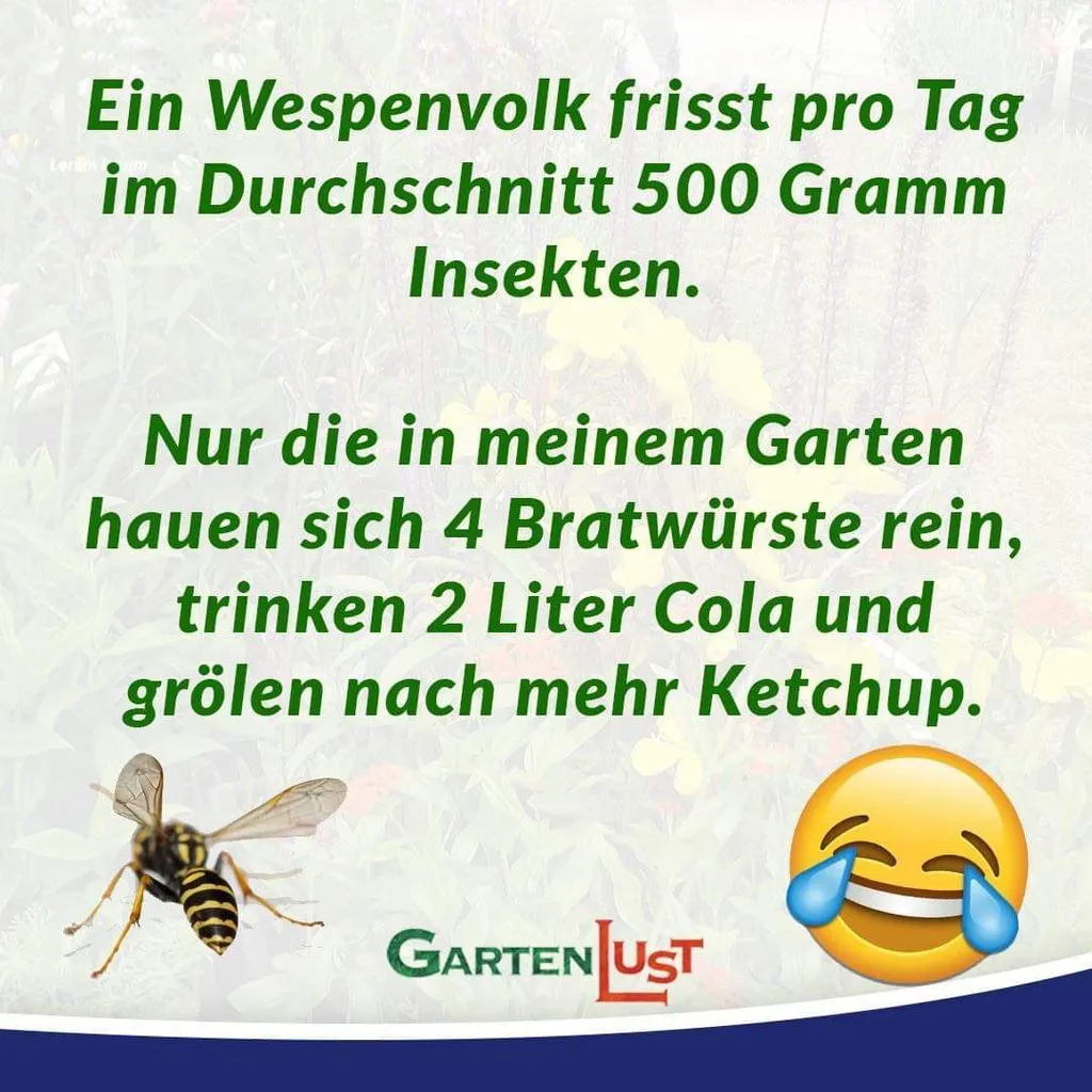 76329-1.webp
