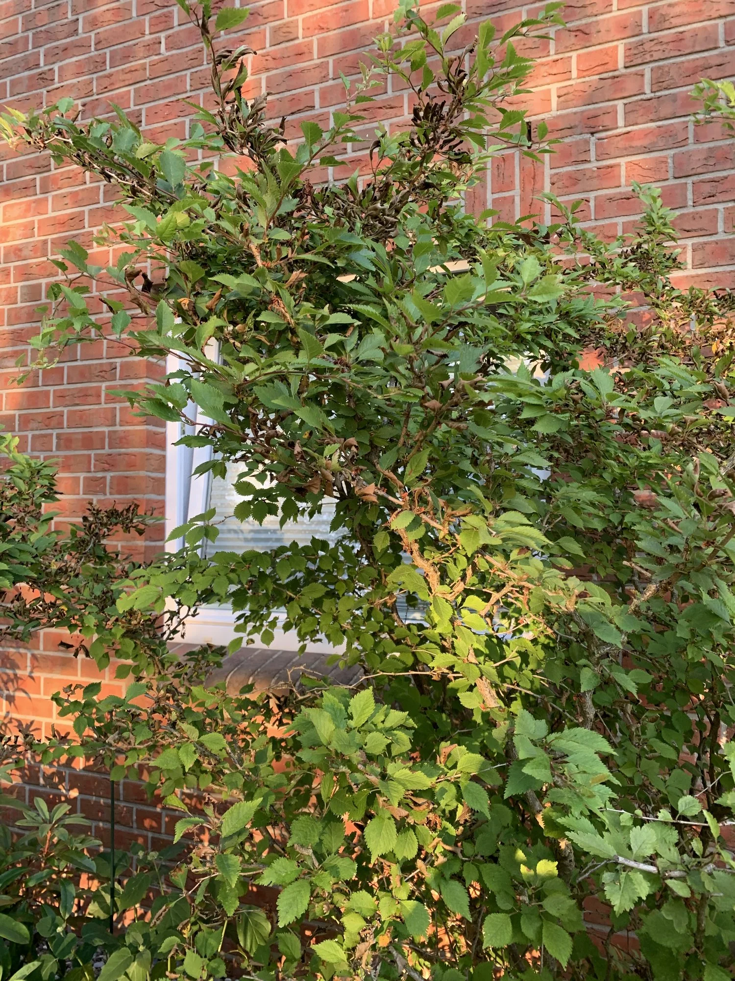 90E1BA85-A3E1-4AE9-AE1E-DFA5AC88E782.webp 90E1BA85-A3E1-4AE9-AE1E-DFA5AC88E782.webp