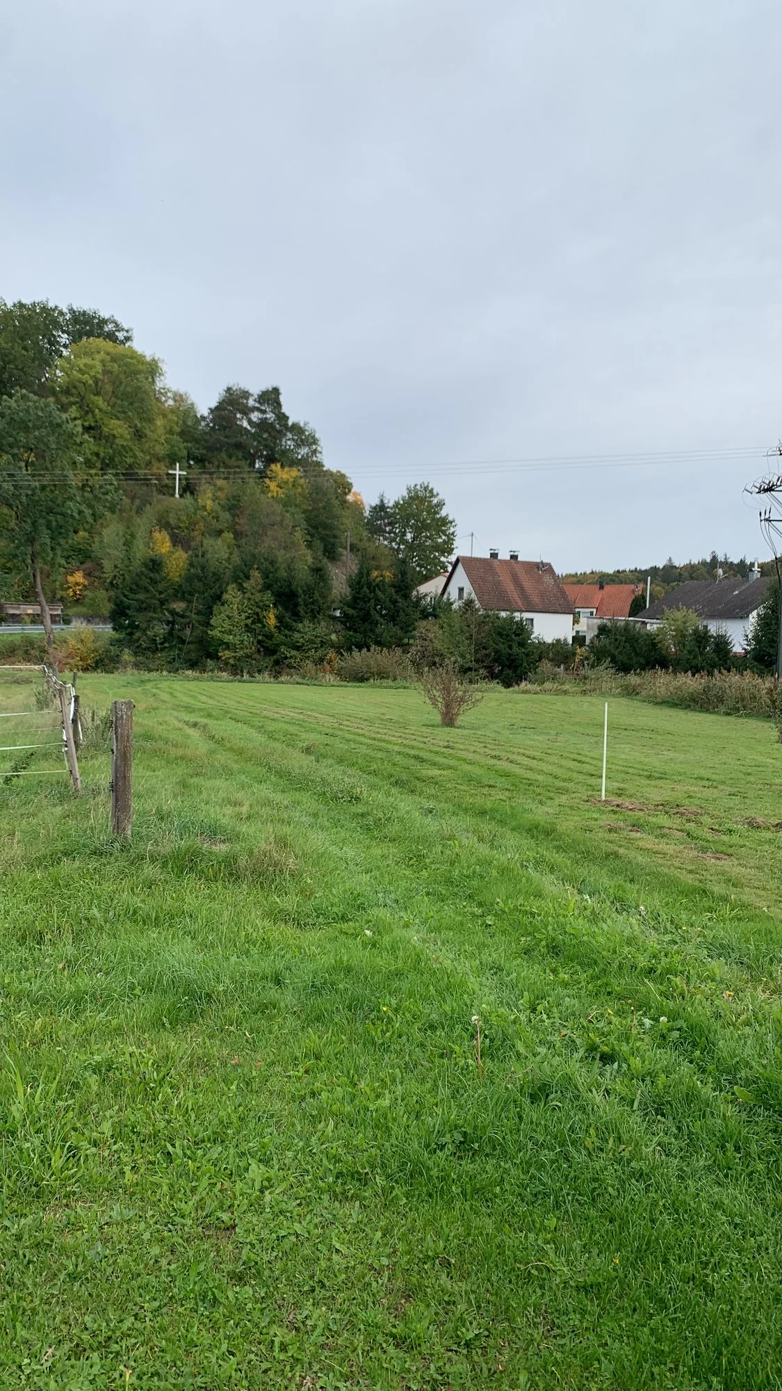 Großen Garten 8001000qm komplett neu planen