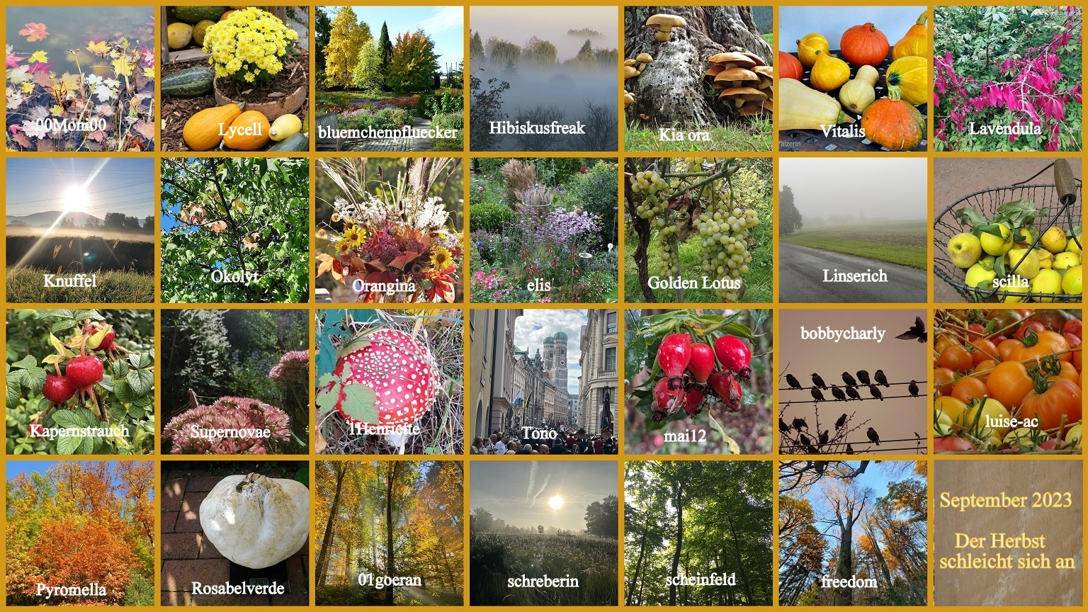 ___________________2023 September Der Herbst schleicht sich an - Copy v.webp