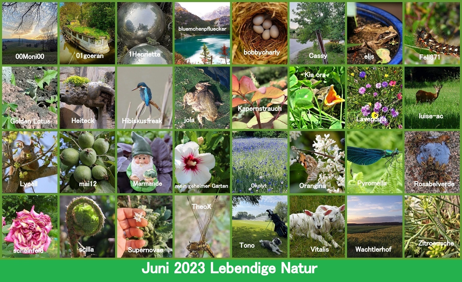 ___________________H&G Juni 2023 Lebendige Natur - Copy.webp