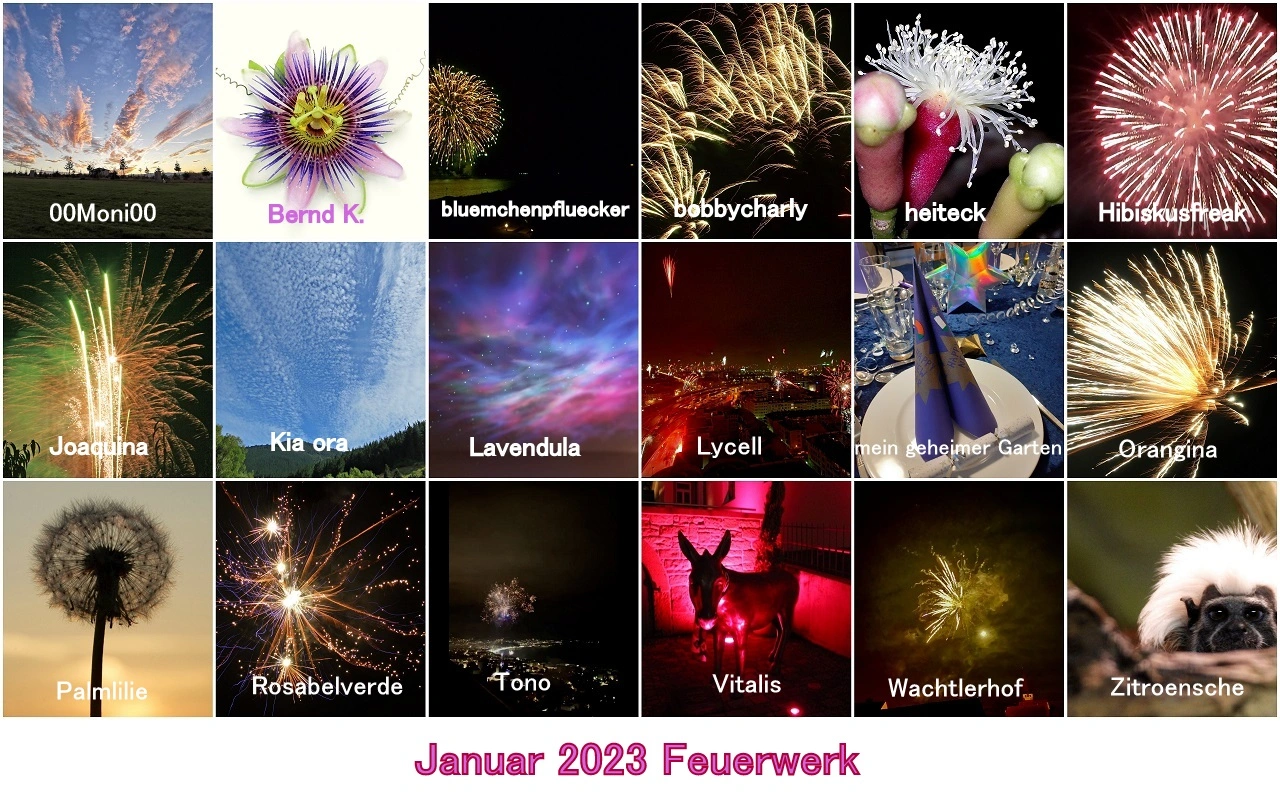 _____________H&G Januar 2023 Feuerwerk - Copy.webp