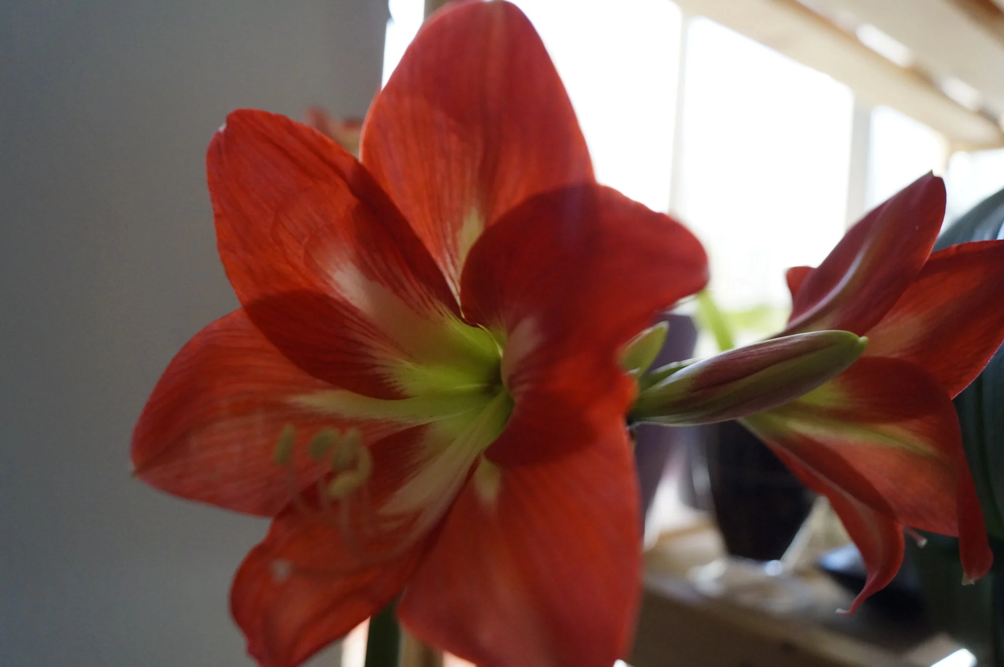_DSC2404.webp