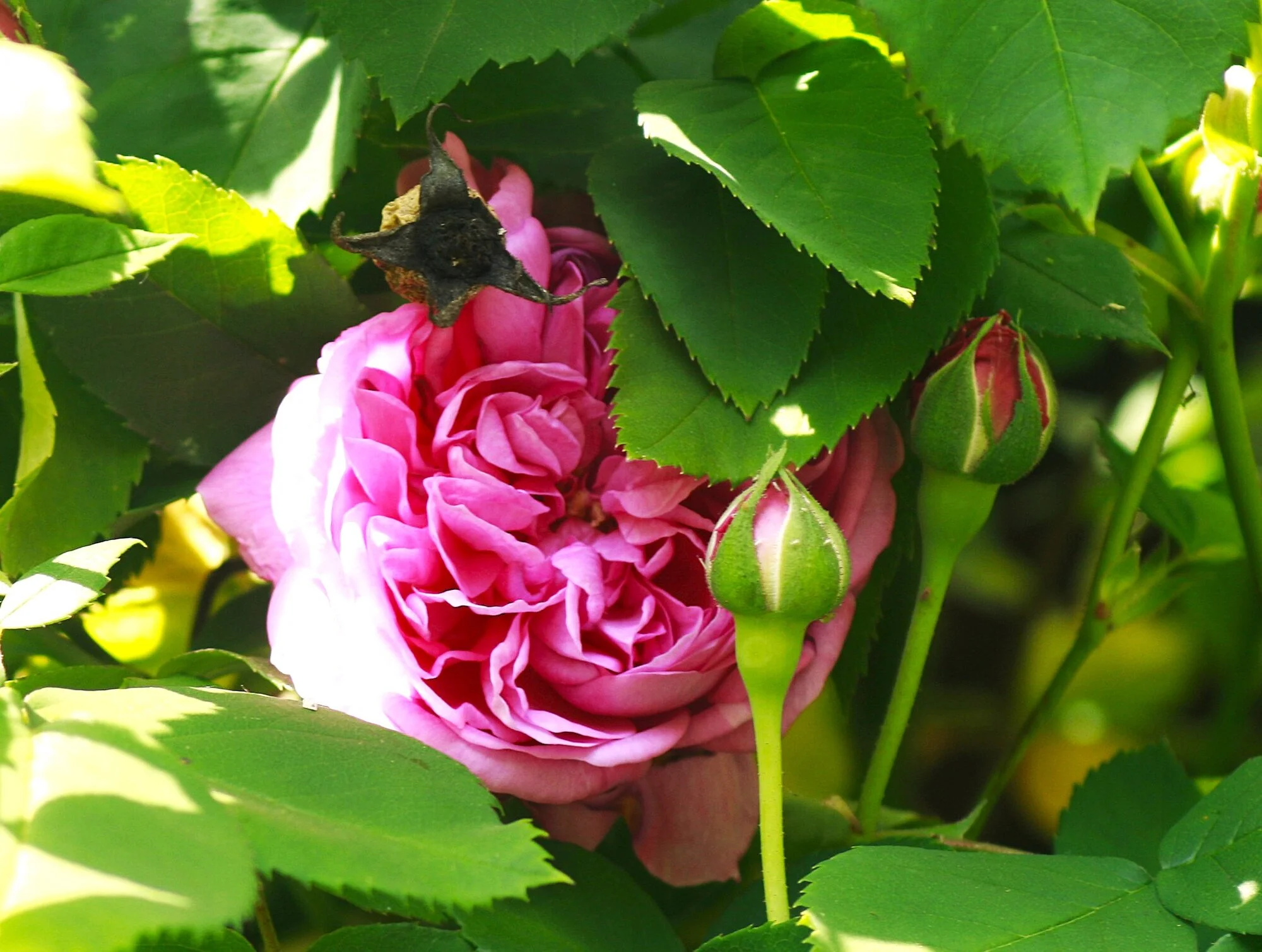 _MG_8904.webp
