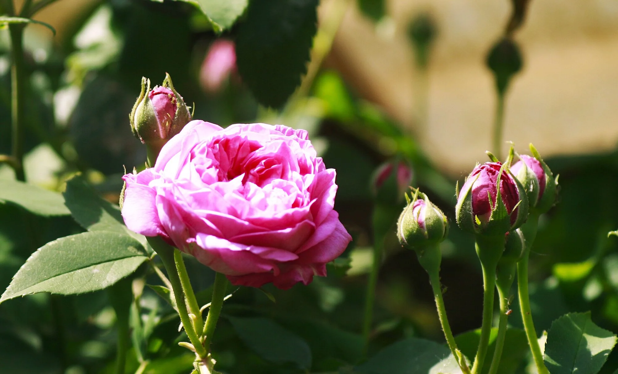 _MG_8905.webp