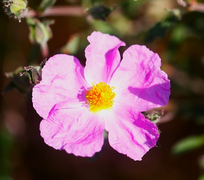 _MG_9384.webp