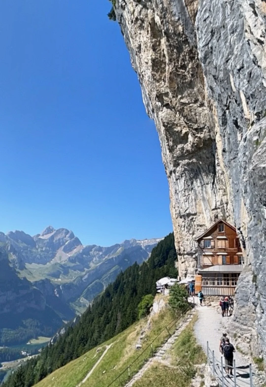 Älipü.webp