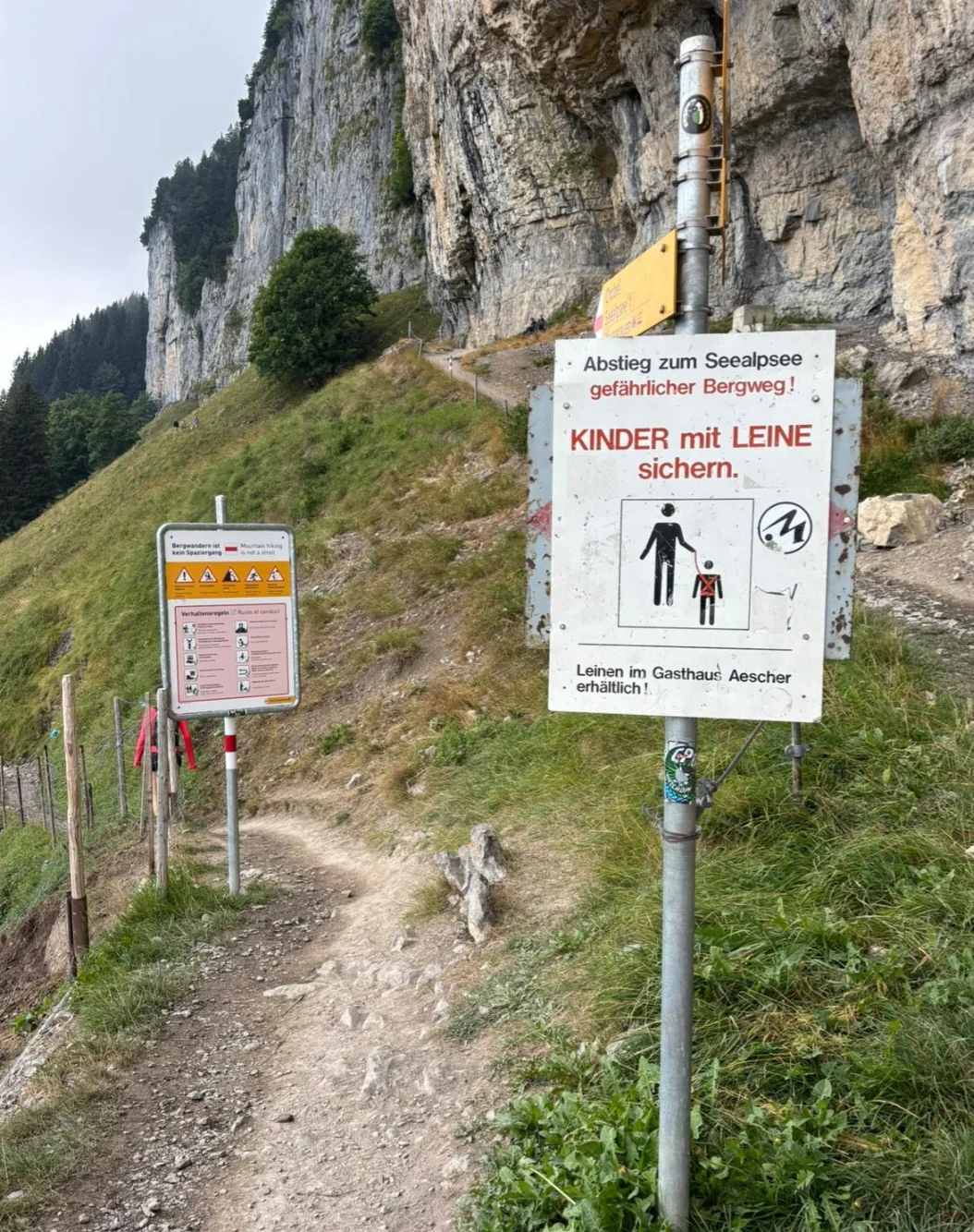 Älpüpp.webp