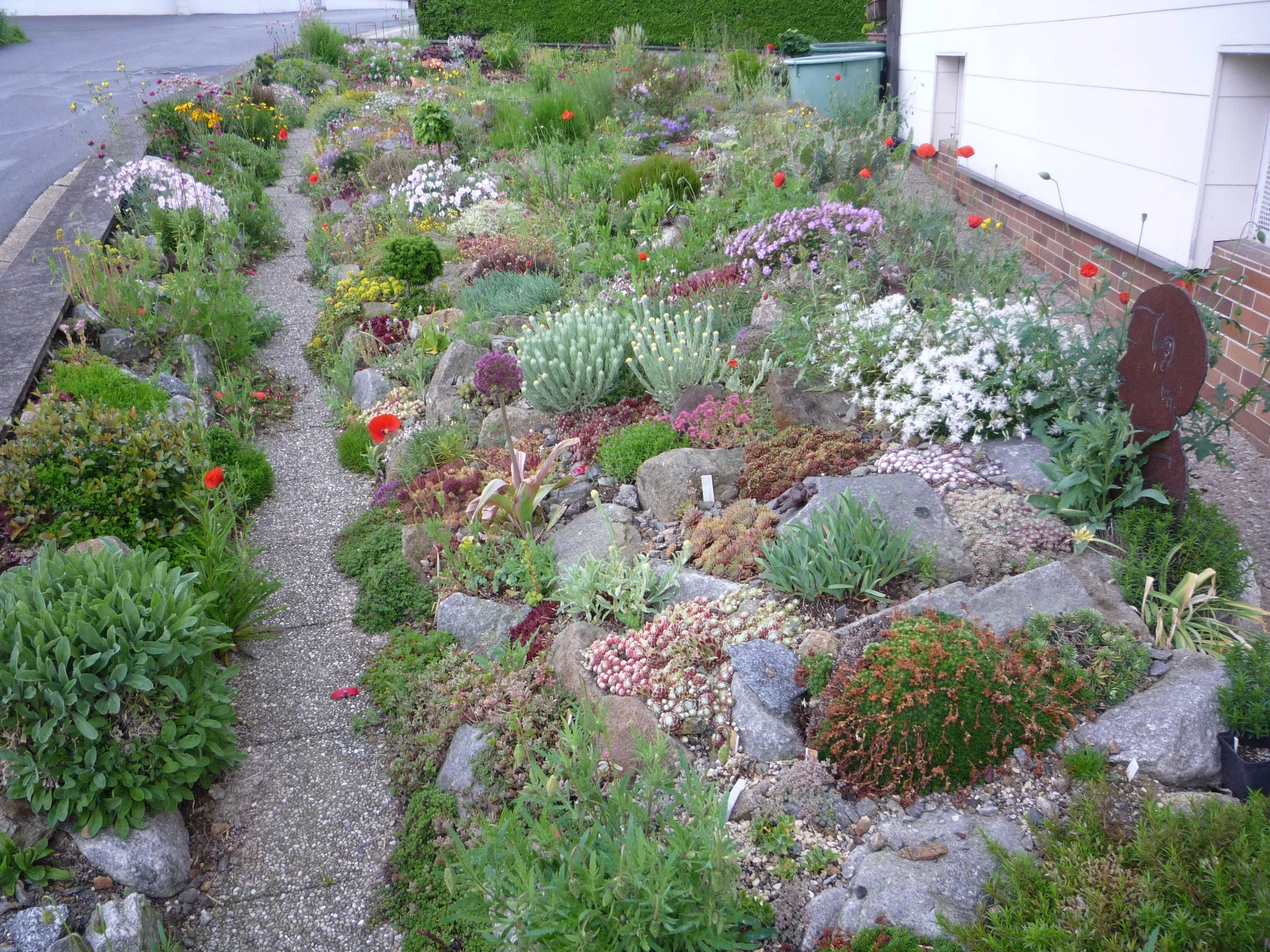 Alp 2009_07.06.2020.webp