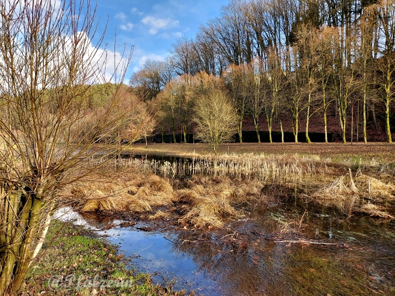 Am Ortsrand 5.webp